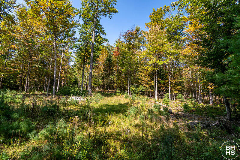 Lot 2 Styles Brook Road, Keene, New York image 4