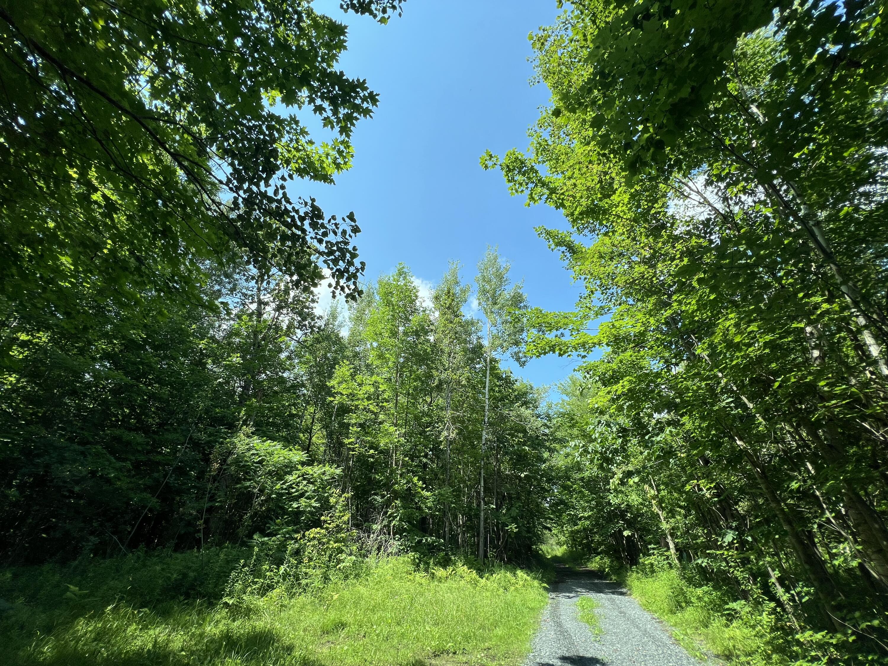 . Soucia Road Road, Churubusco, New York image 1