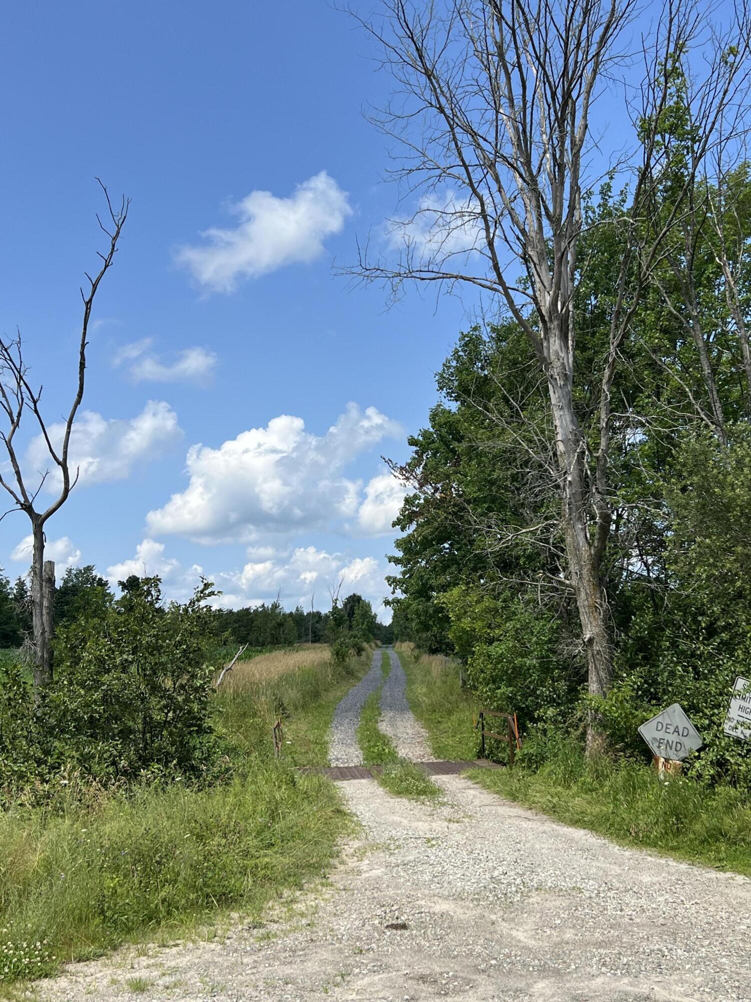 . Soucia Road Road, Churubusco, New York image 3