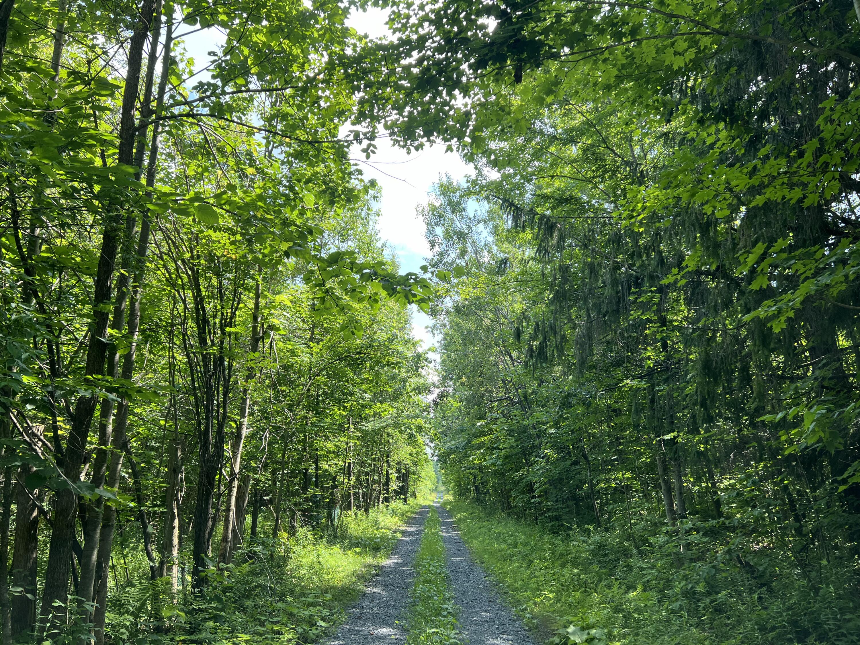 . Soucia Road Road, Churubusco, New York image 7