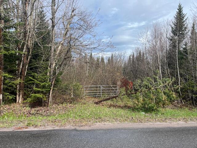 Wilfred King Road, Ellenburg Depot, New York image 3