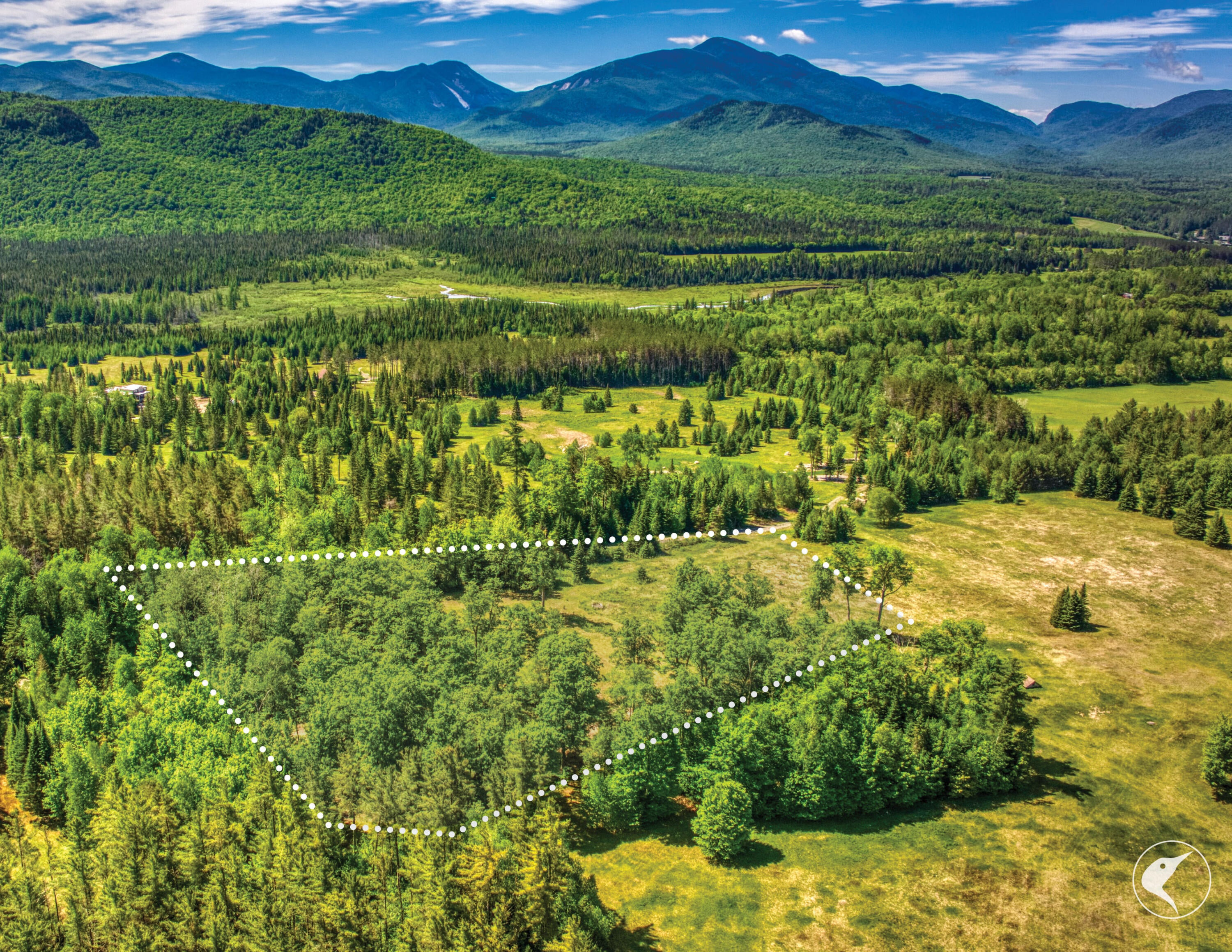 8 Upper Trail
