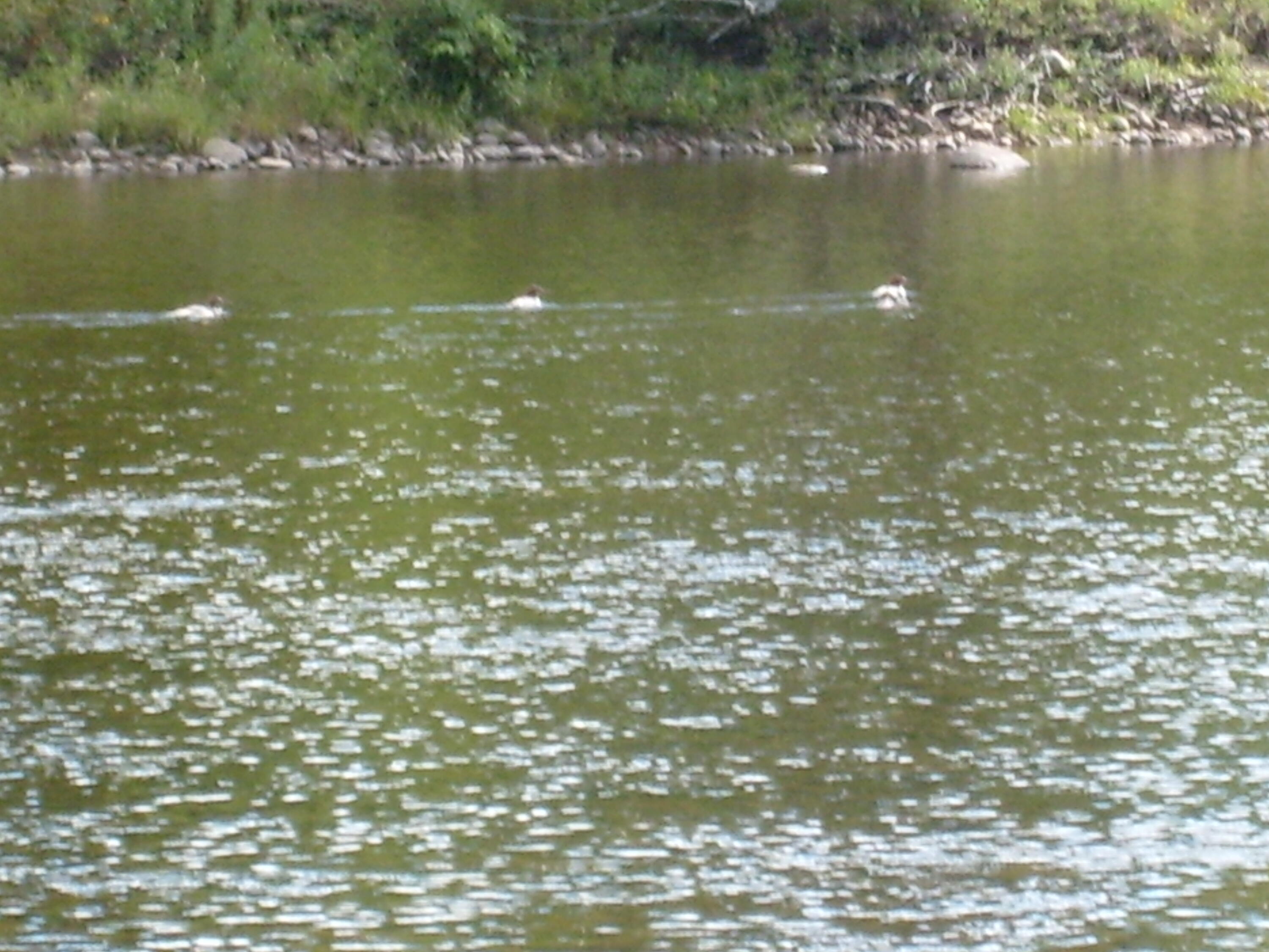 Route 9n, Au Sable Forks, New York image 6