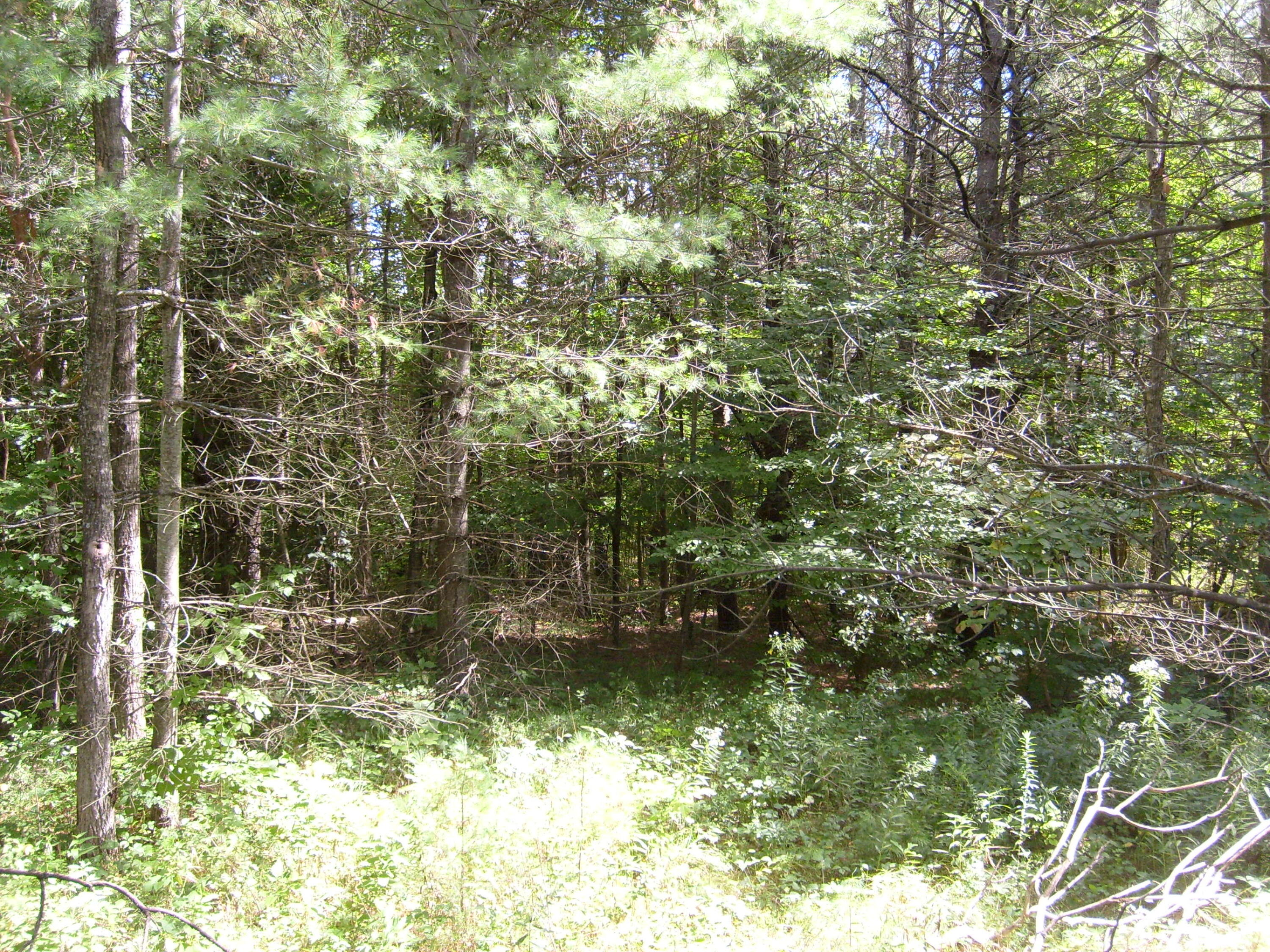 Route 9n, Au Sable Forks, New York image 18