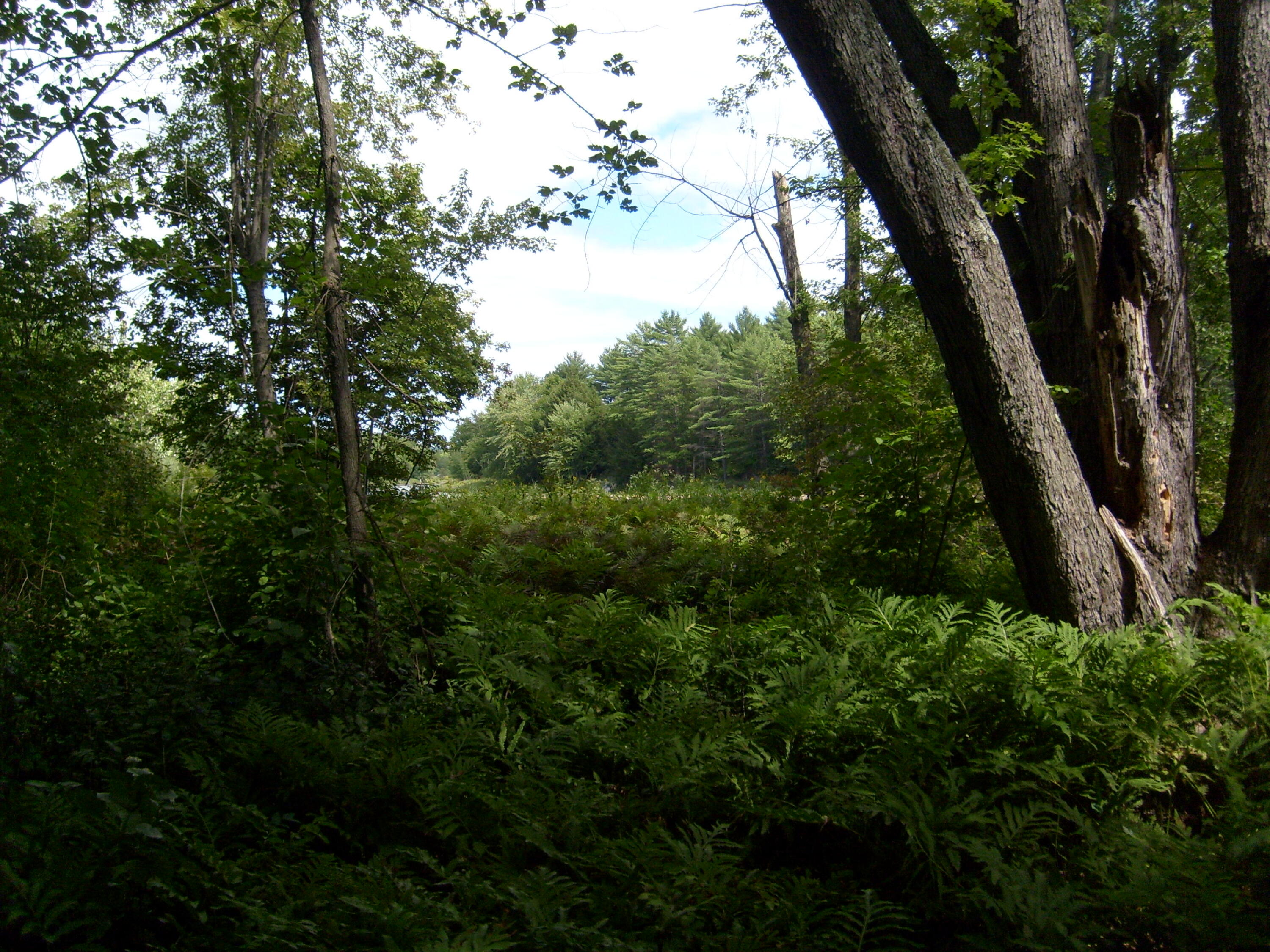 Route 9n, Au Sable Forks, New York image 21