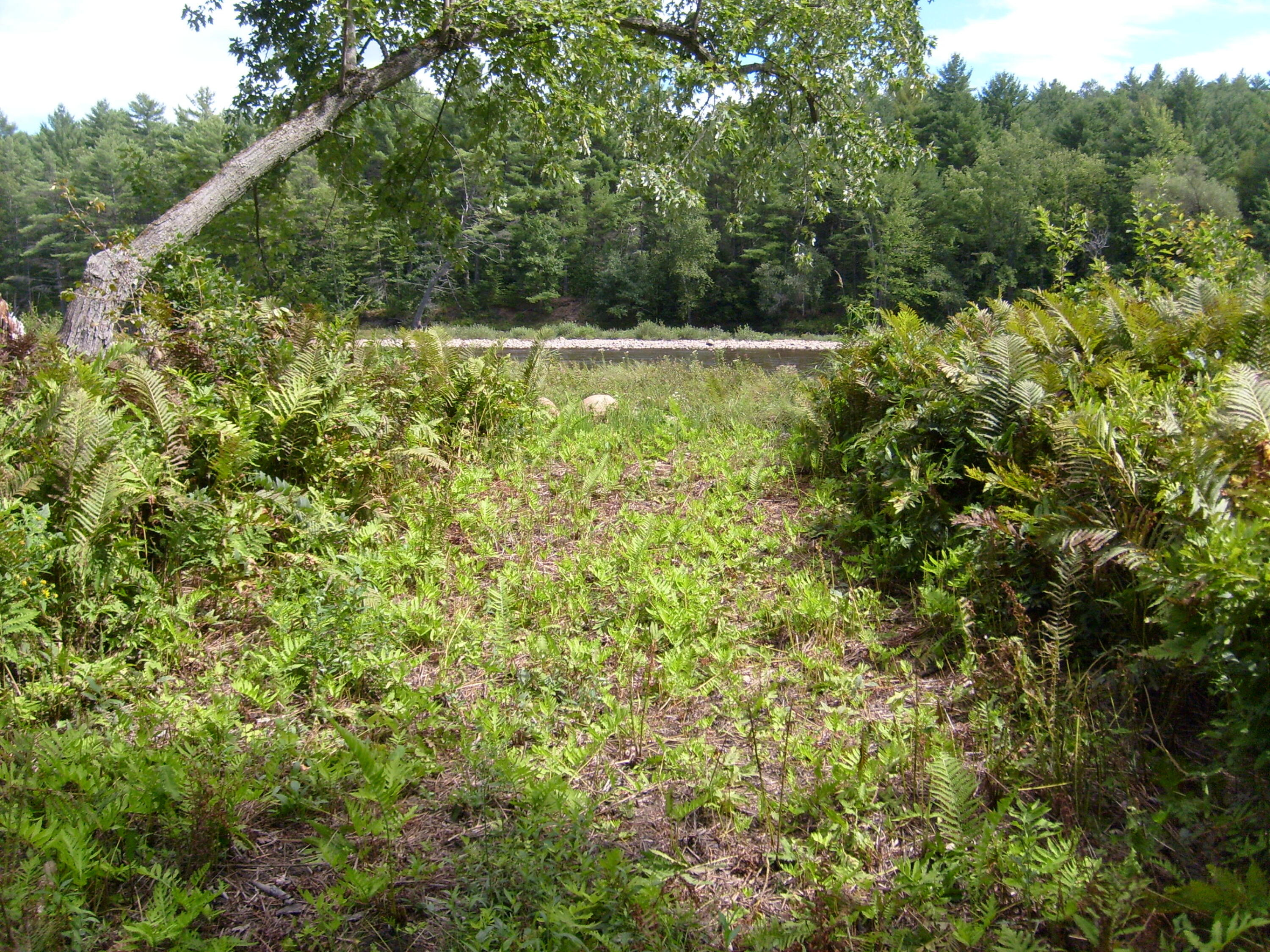 Route 9n, Au Sable Forks, New York image 7