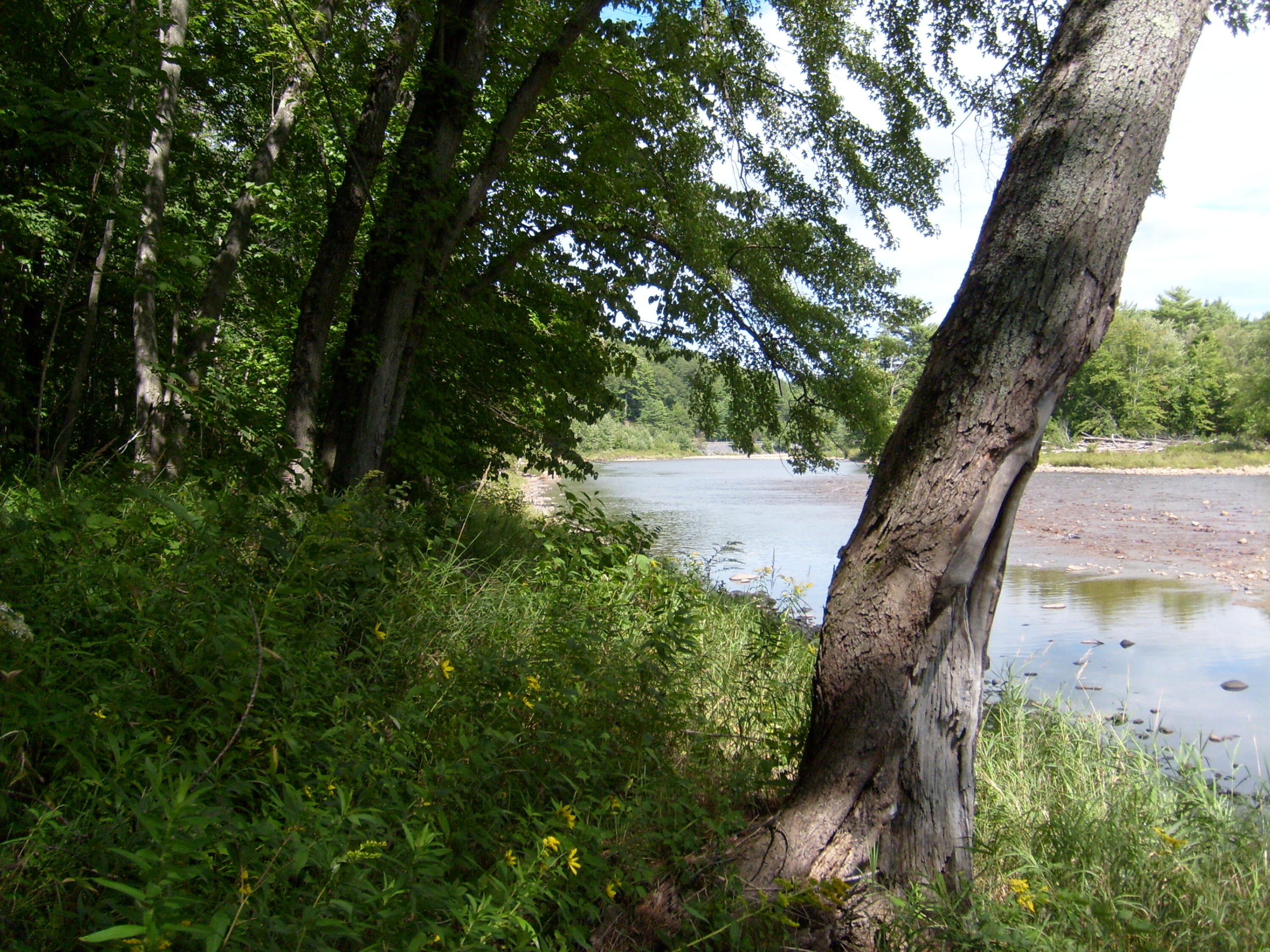 Route 9n, Au Sable Forks, New York image 16