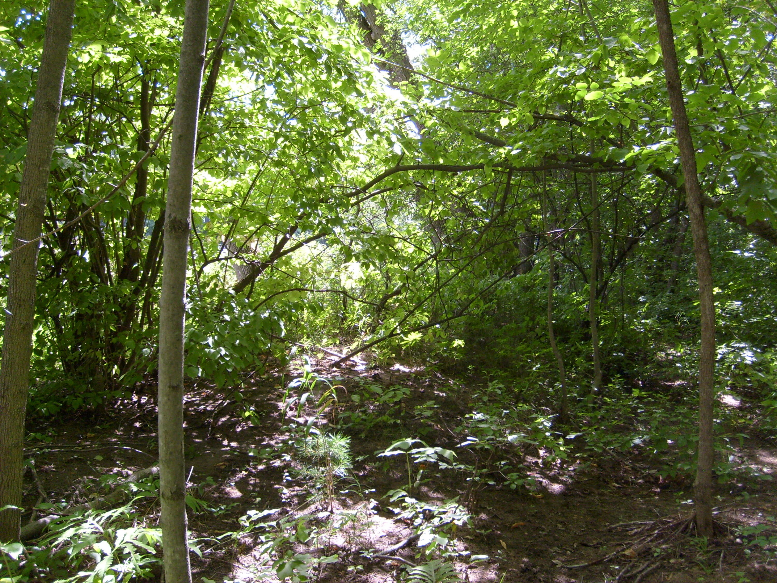 Route 9n, Au Sable Forks, New York image 19