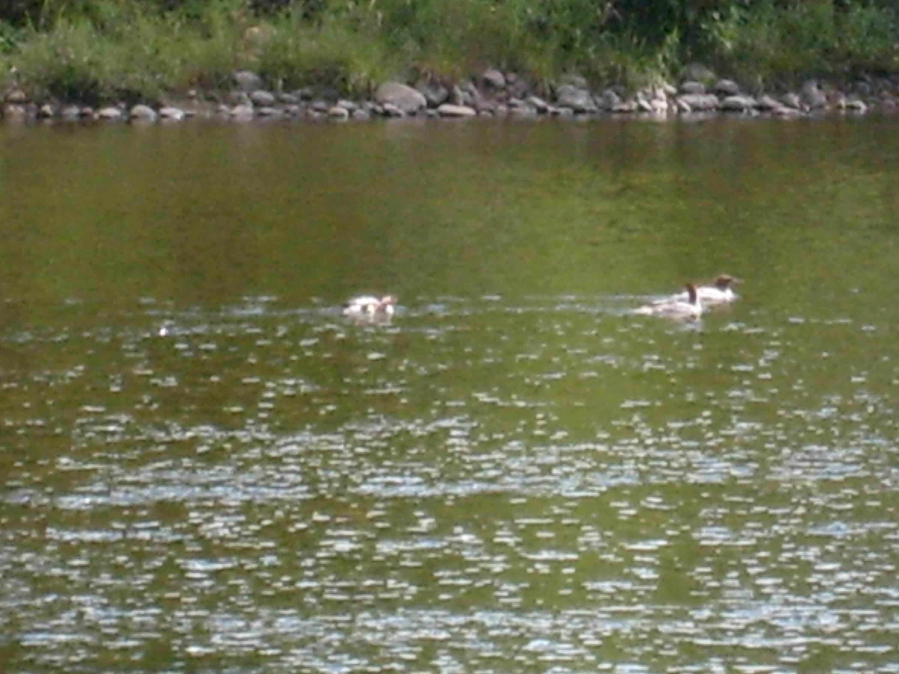 Route 9n, Au Sable Forks, New York image 1