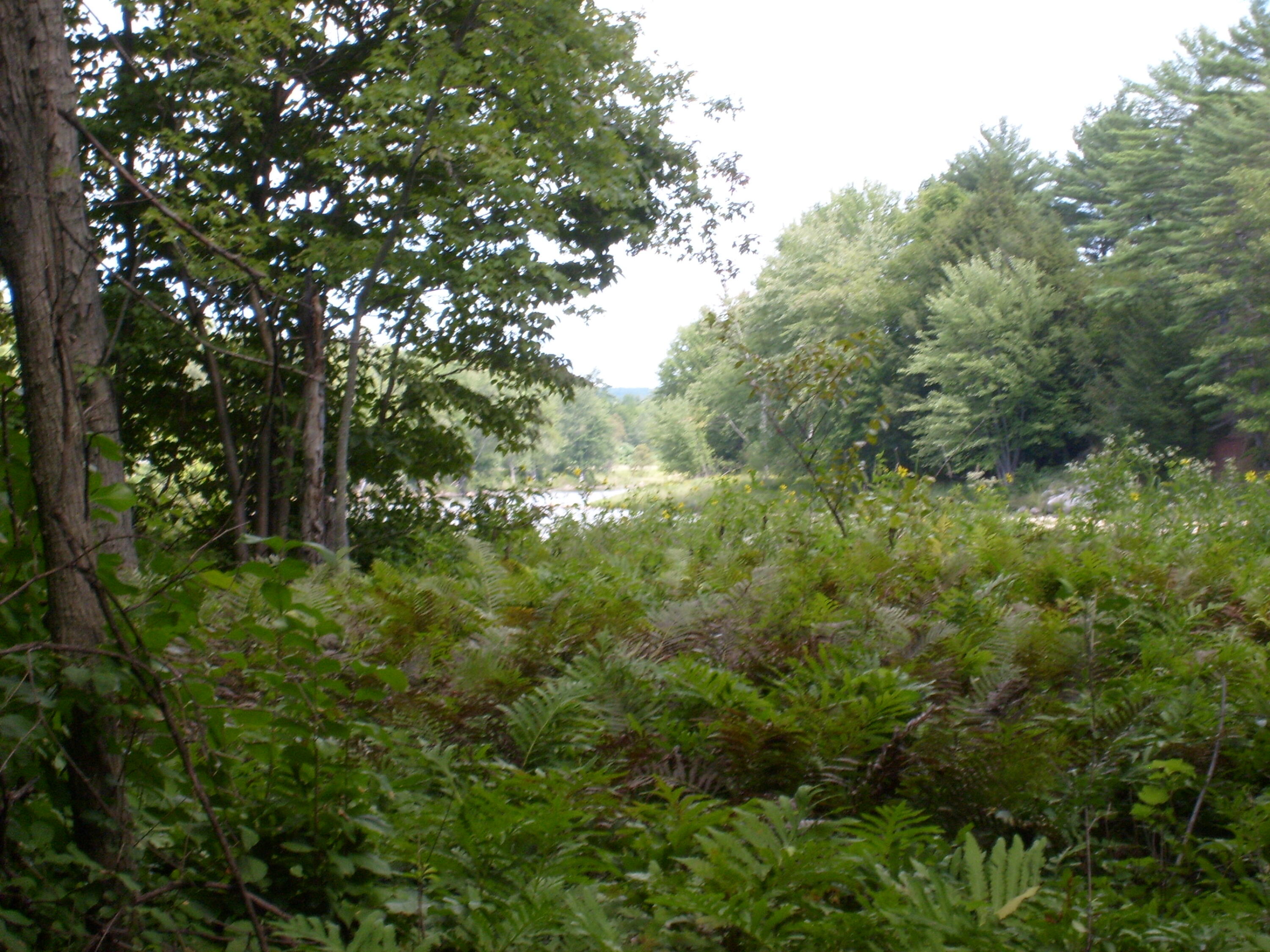 Route 9n, Au Sable Forks, New York image 23