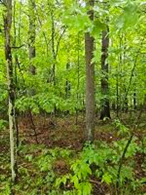 Vacant Land For Sale - # 60 LOT Signor Lane<br/> Jay, NY 12941