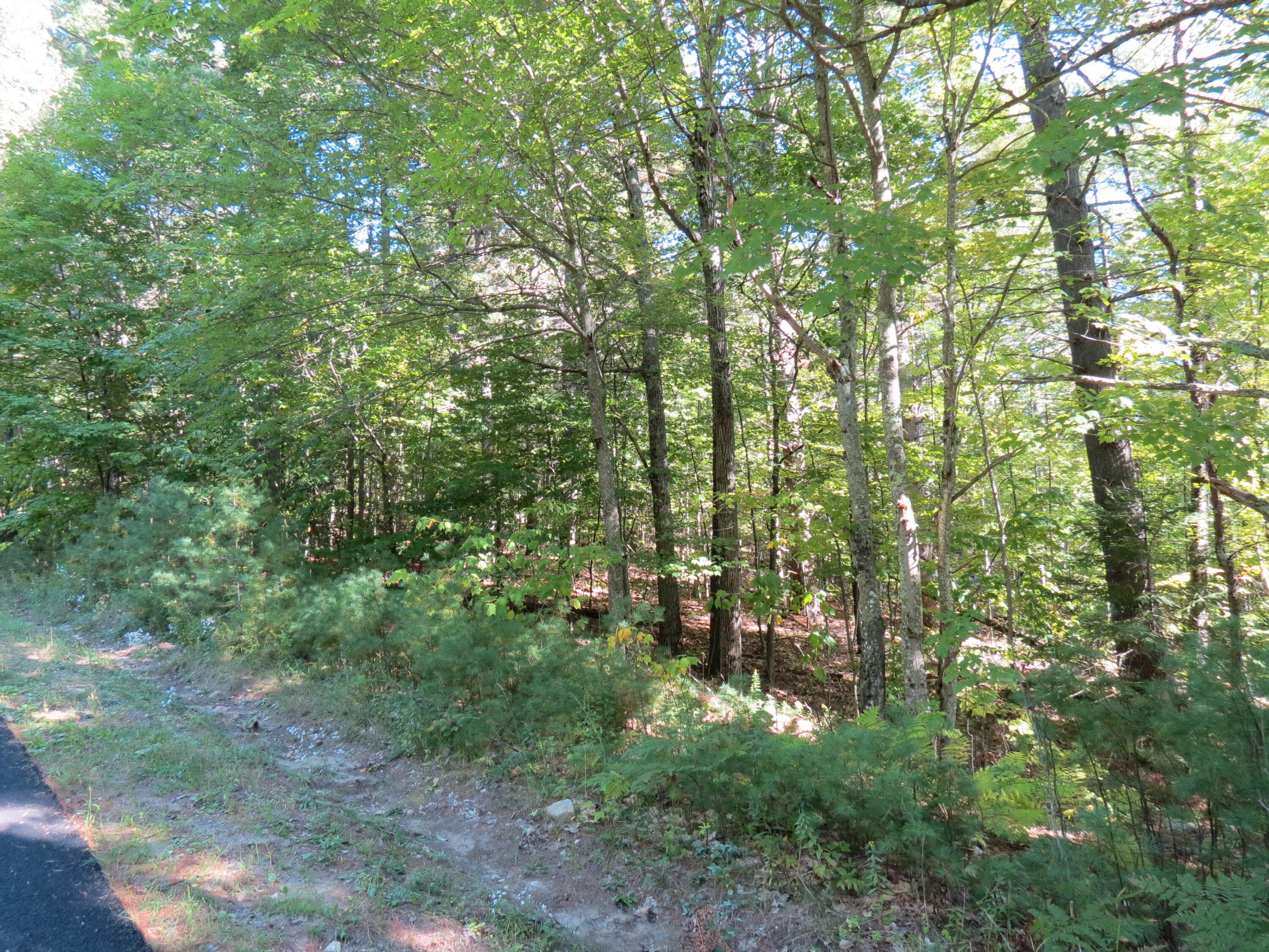 Lot 14 Indian Rock Road