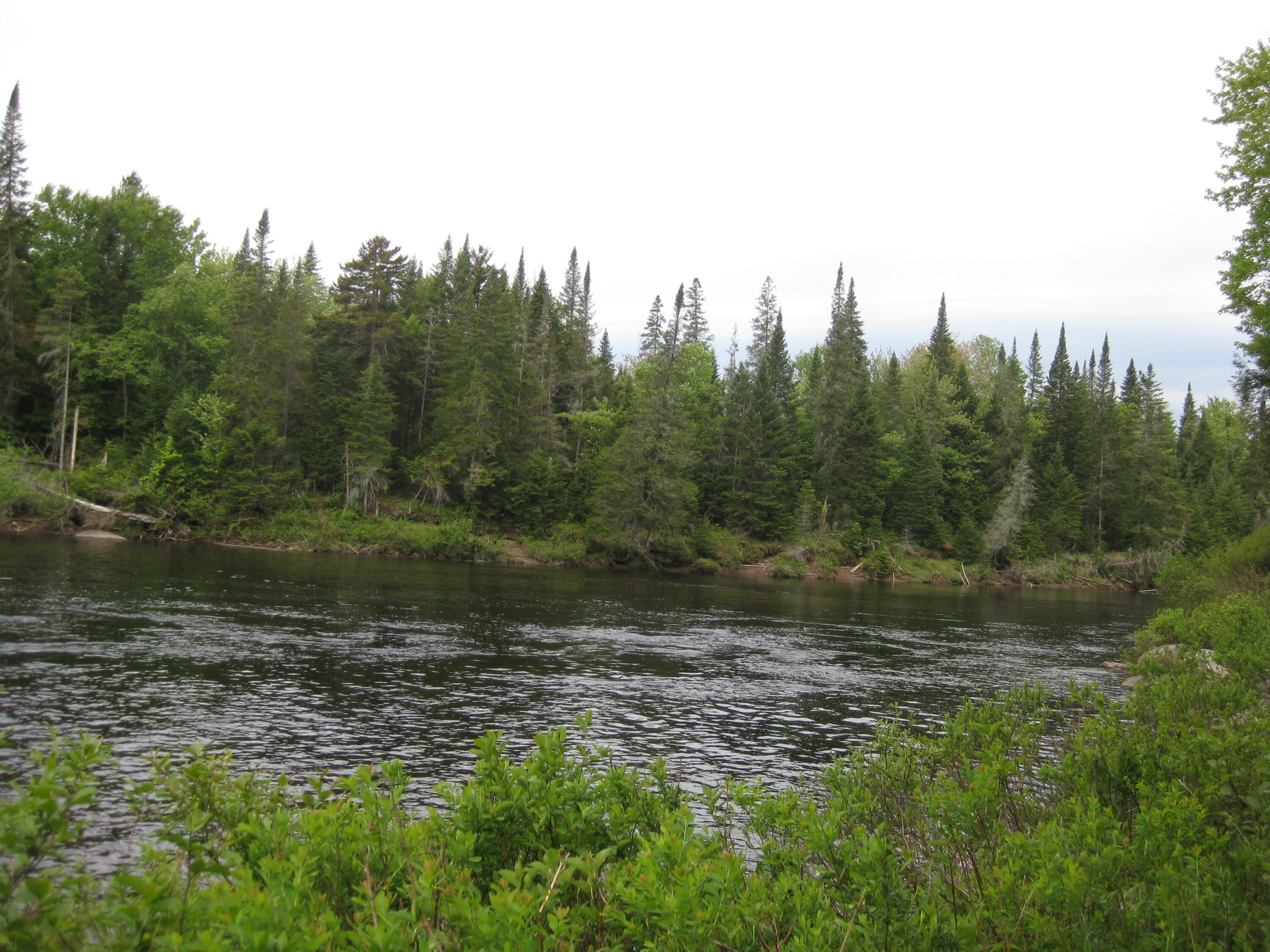 Campsite Road, Newcomb, New York image 1