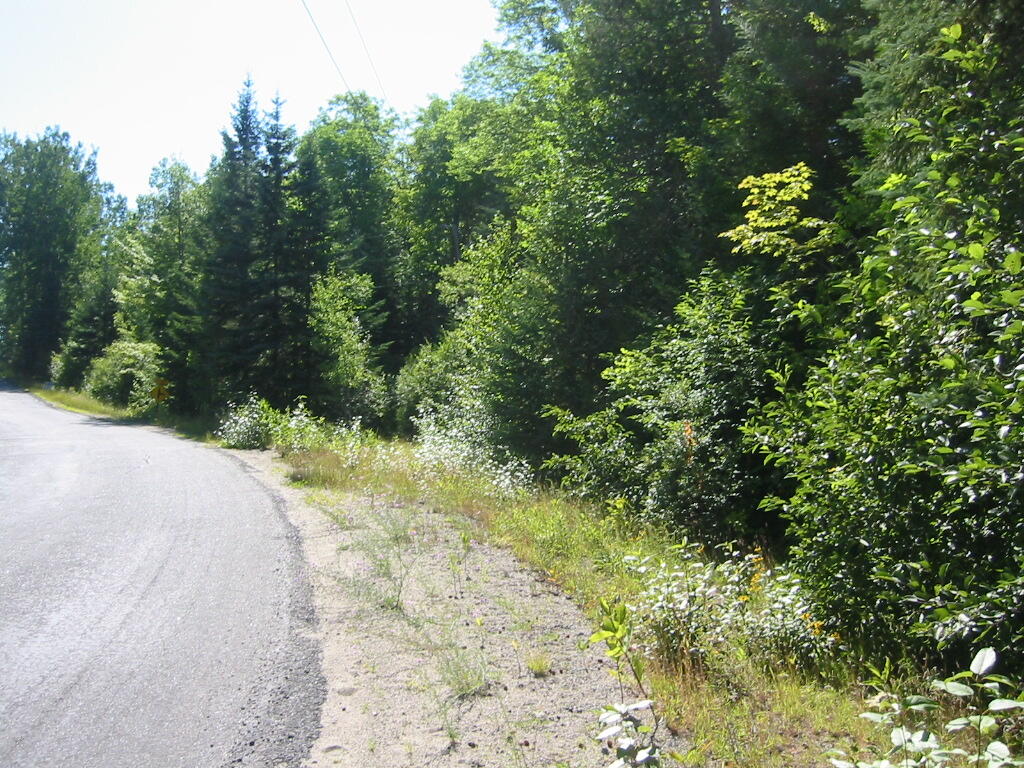 Campsite Road, Newcomb, New York image 3