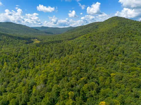 Vacant Land For Sale - 00 Henry Wescott Road<br/> Warren County, Athol, NY 12810