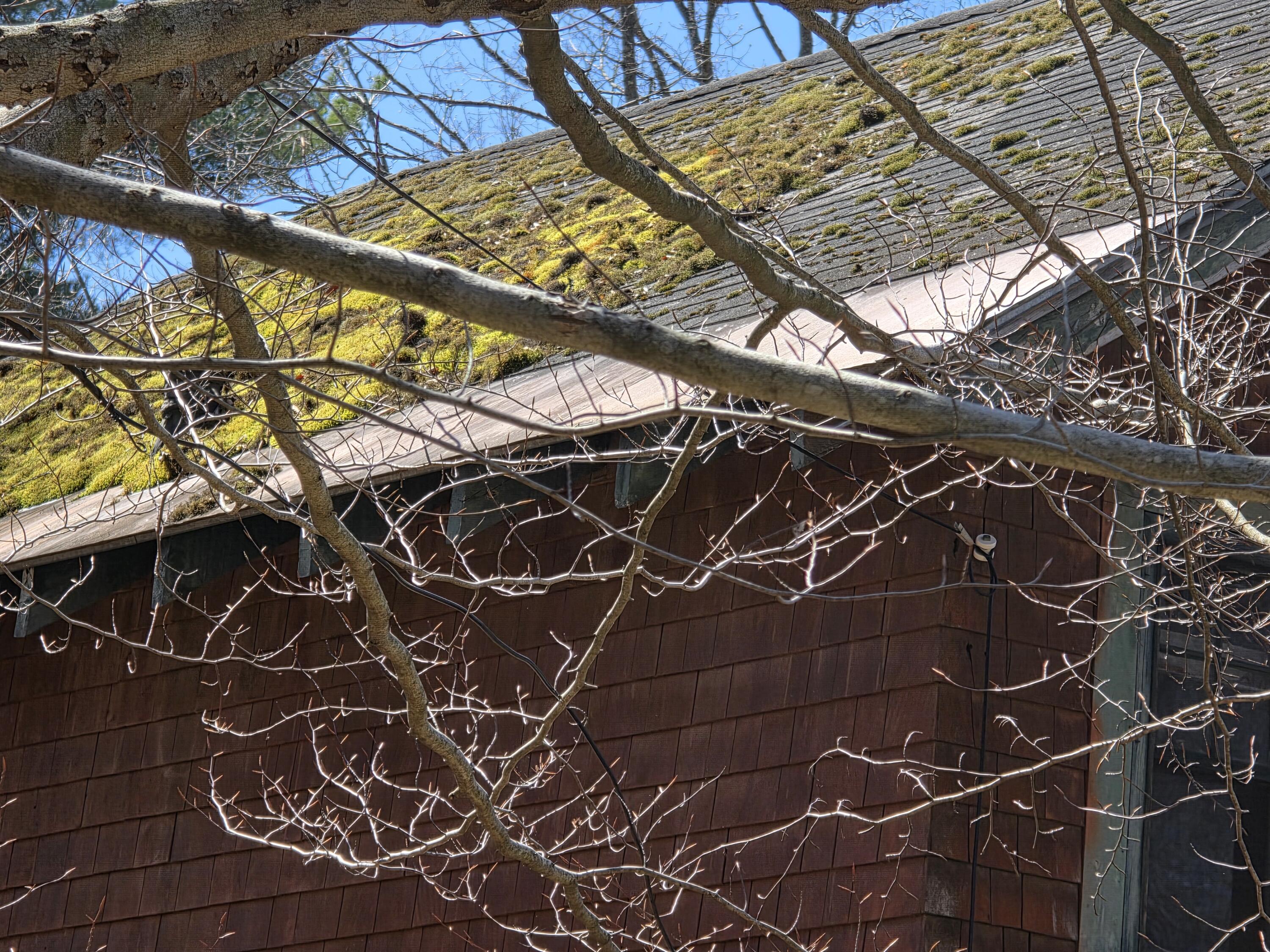 84 Park Avenue, Saranac Lake, New York image 4
