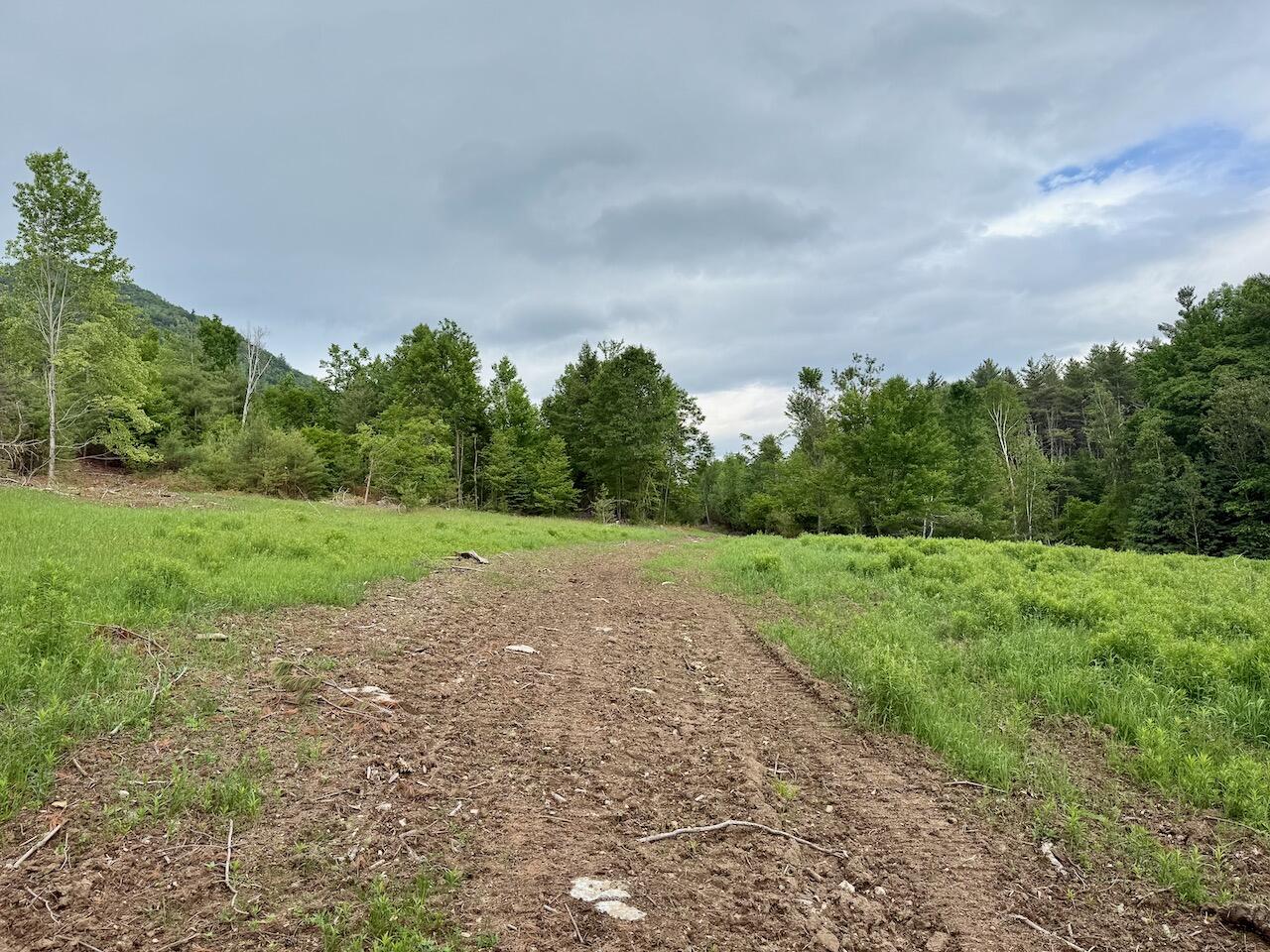 0 NYS Rt. 86 (Lot 1)