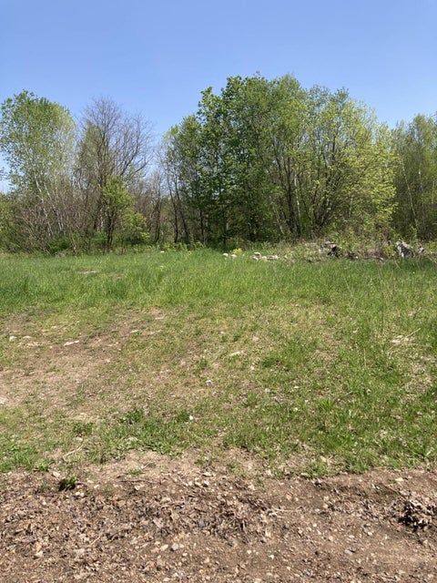 Vacant Land For Sale - Davidson Road<br/> Dickinson Center, NY 12930