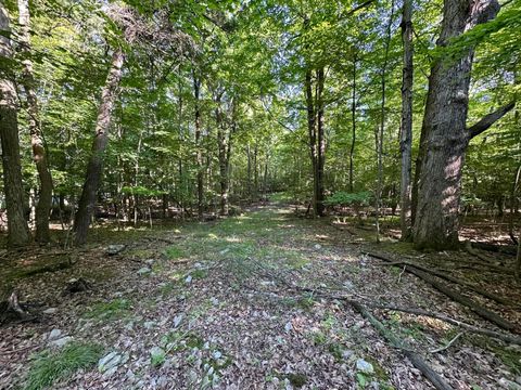 Vacant Land For Sale - Trembleau Road<br/> Keeseville, NY 12944