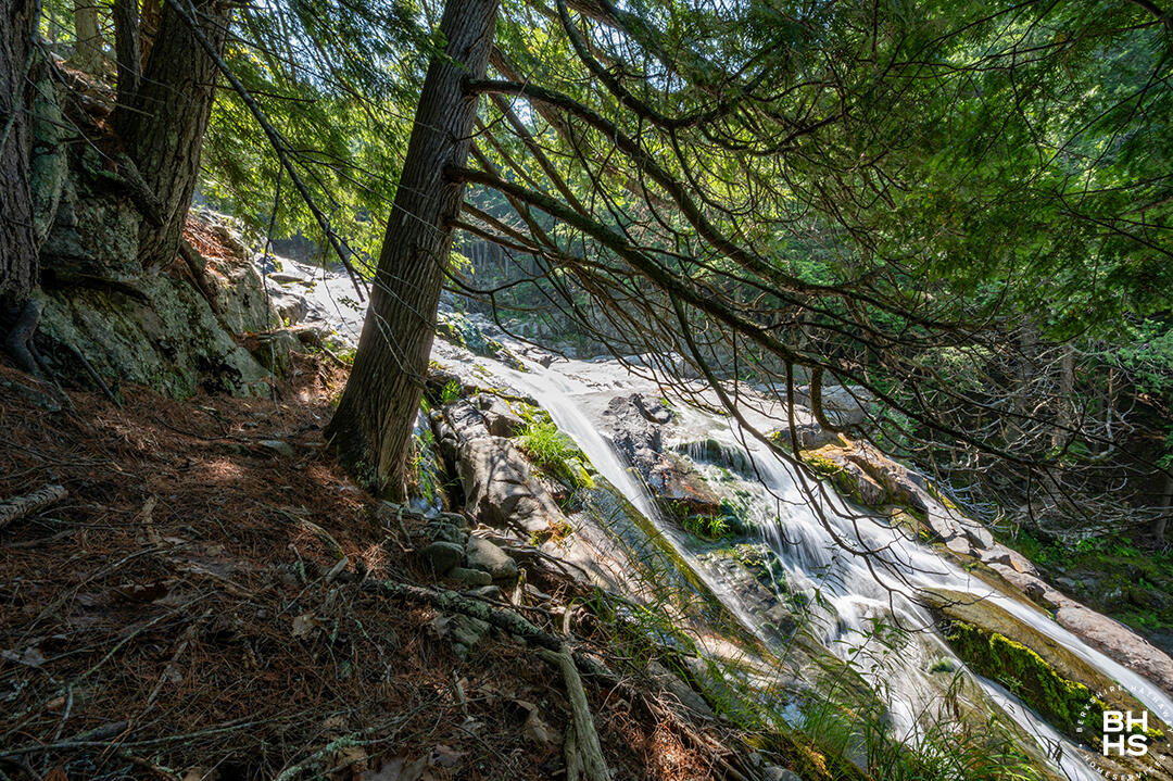 136 Styles Brook Road