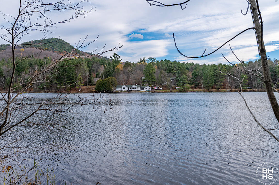 113 Forest Hill Avenue