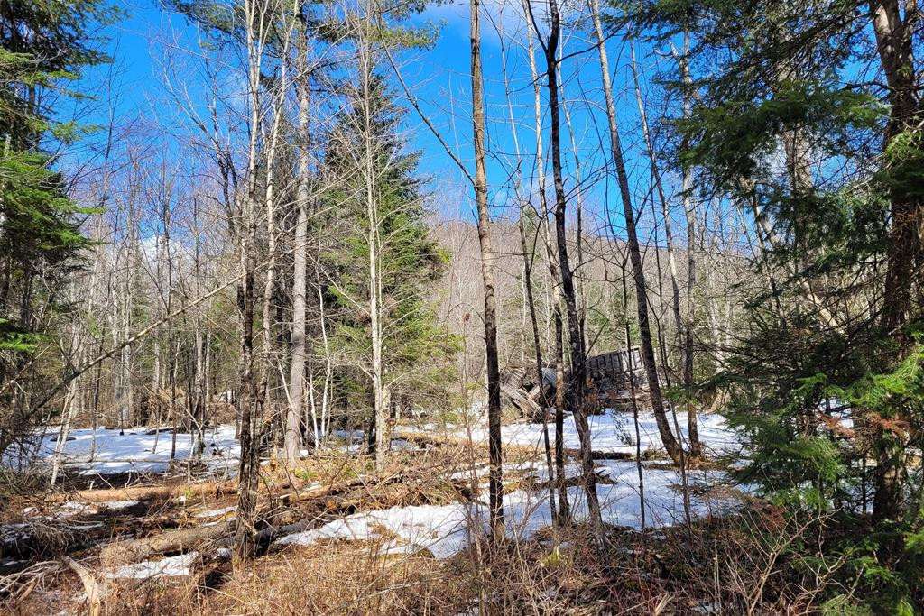 Lot 2 Alder Brook Road, Vermontville, New York image 1