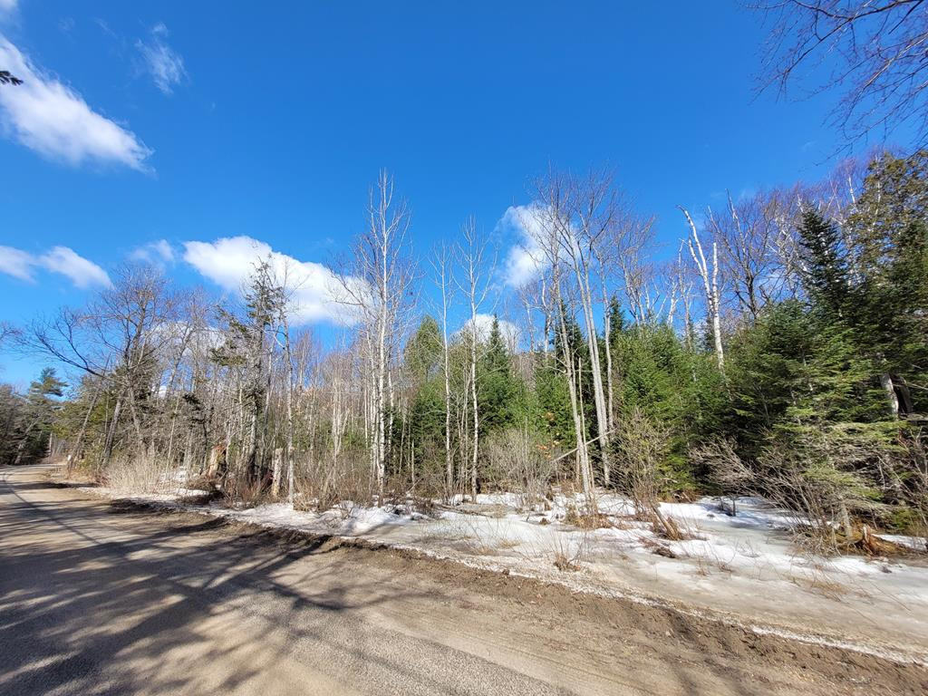 Lot 2 Alder Brook Road, Vermontville, New York image 4