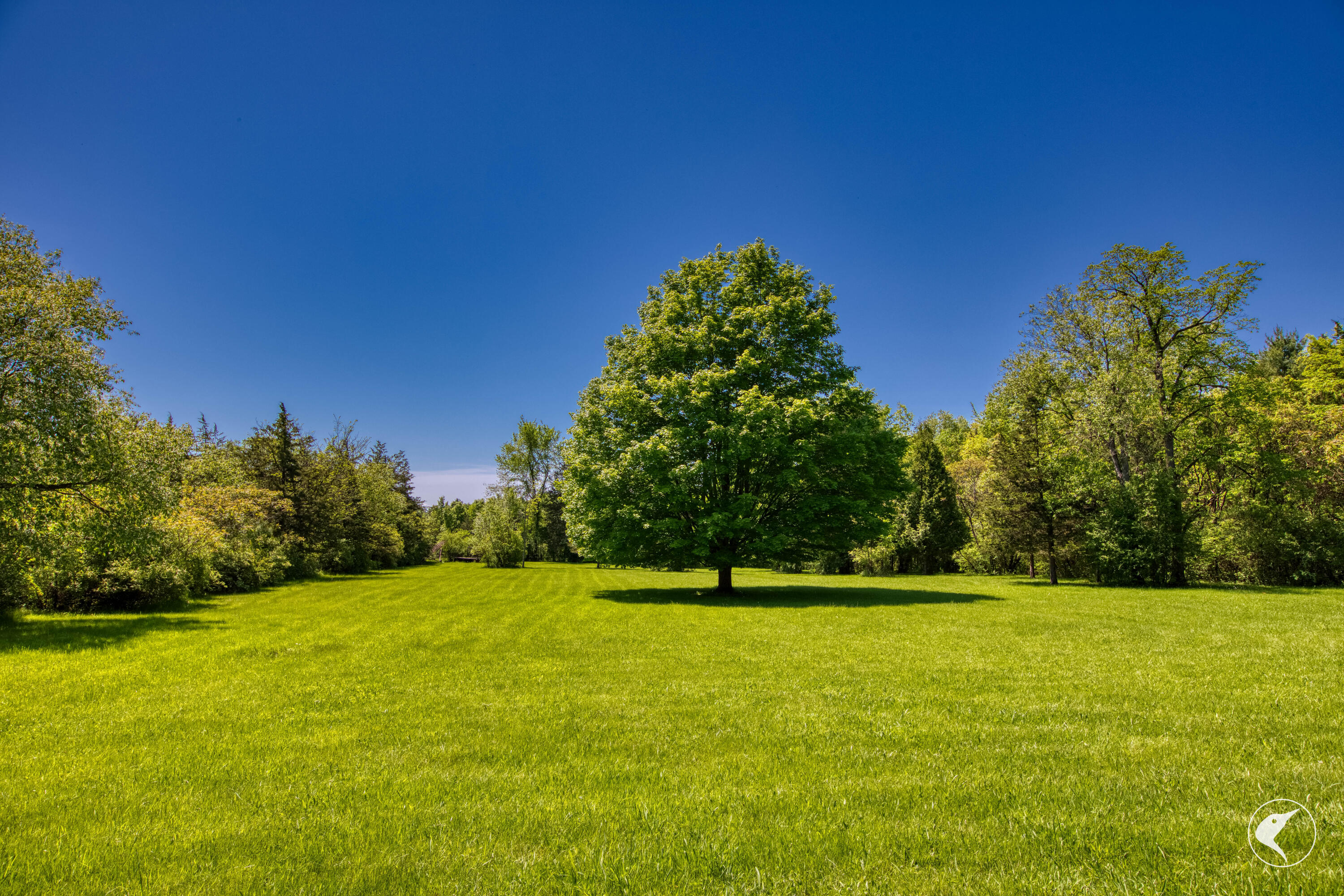70 Wash Board Way, Westport, New York image 18