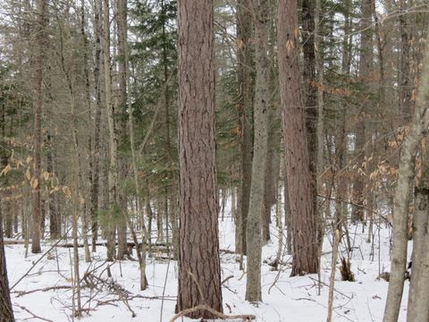 Vacant Land For Sale - 00 Algonquin Lane<br/> Jay, NY 12941