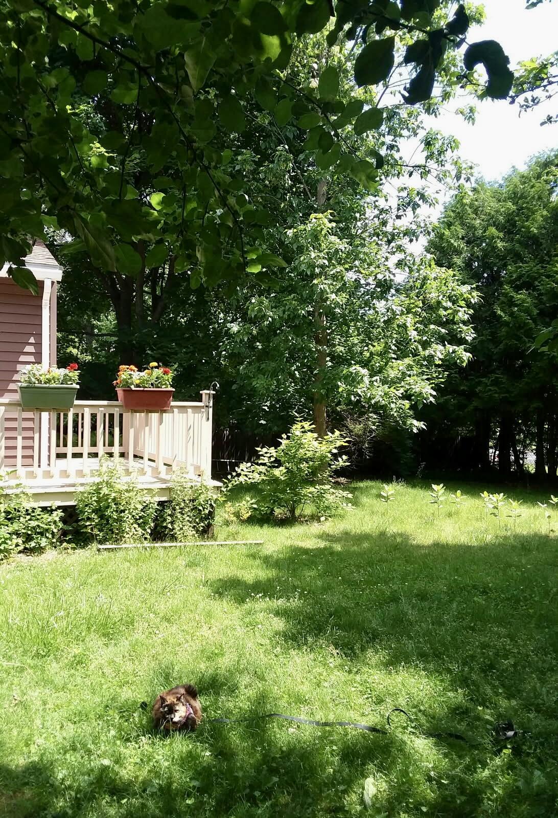 2 Stratford Road Rd, Plattsburgh, New York image 28