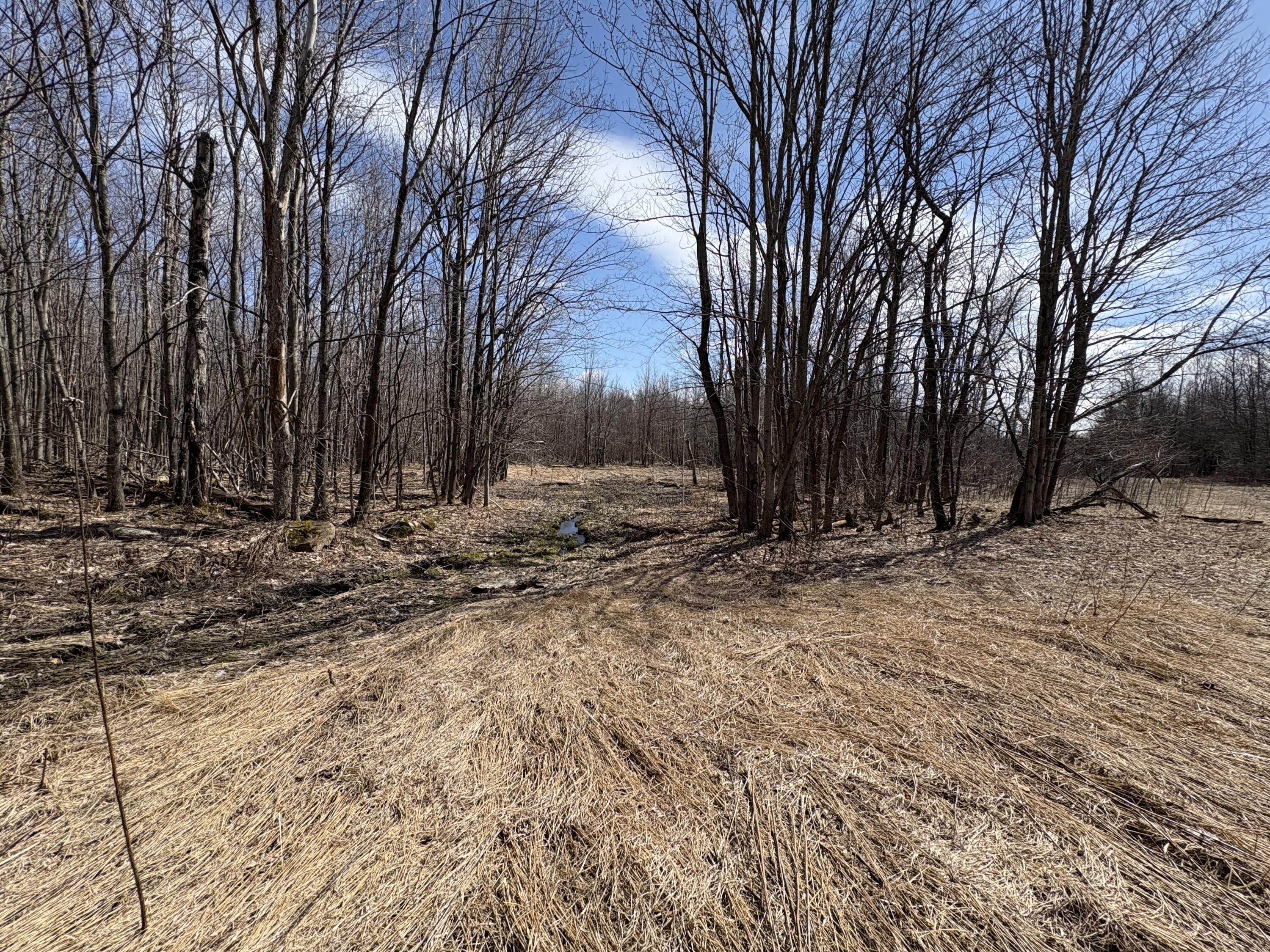 232 Soucia Road, Churubusco, New York image 30