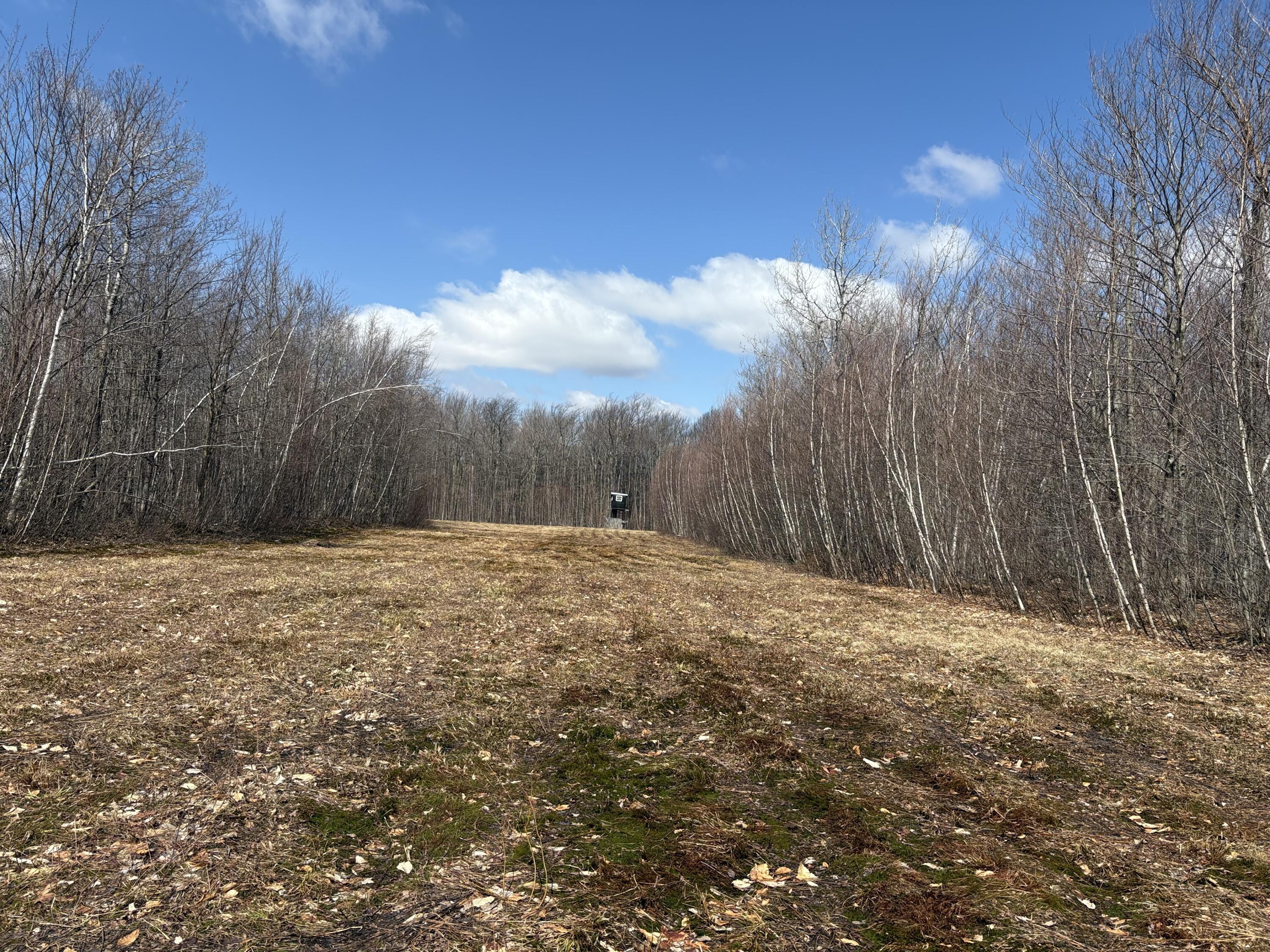 232 Soucia Road, Churubusco, New York image 23