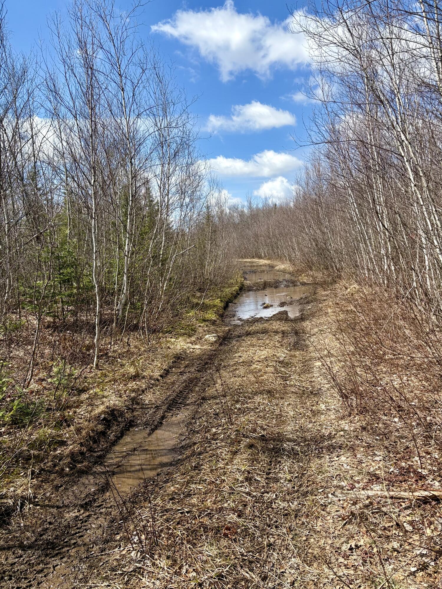 232 Soucia Road, Churubusco, New York image 35