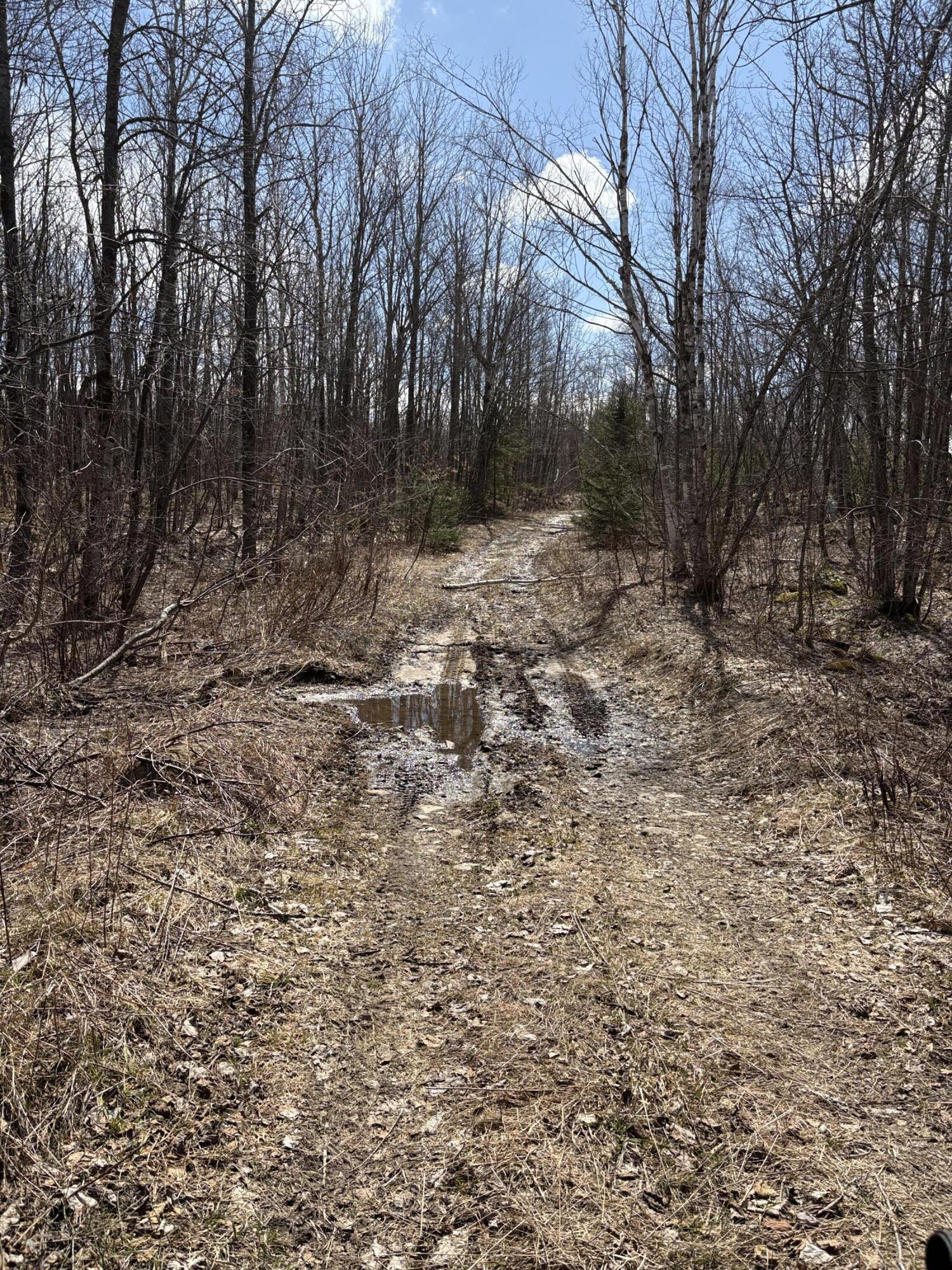 232 Soucia Road, Churubusco, New York image 34