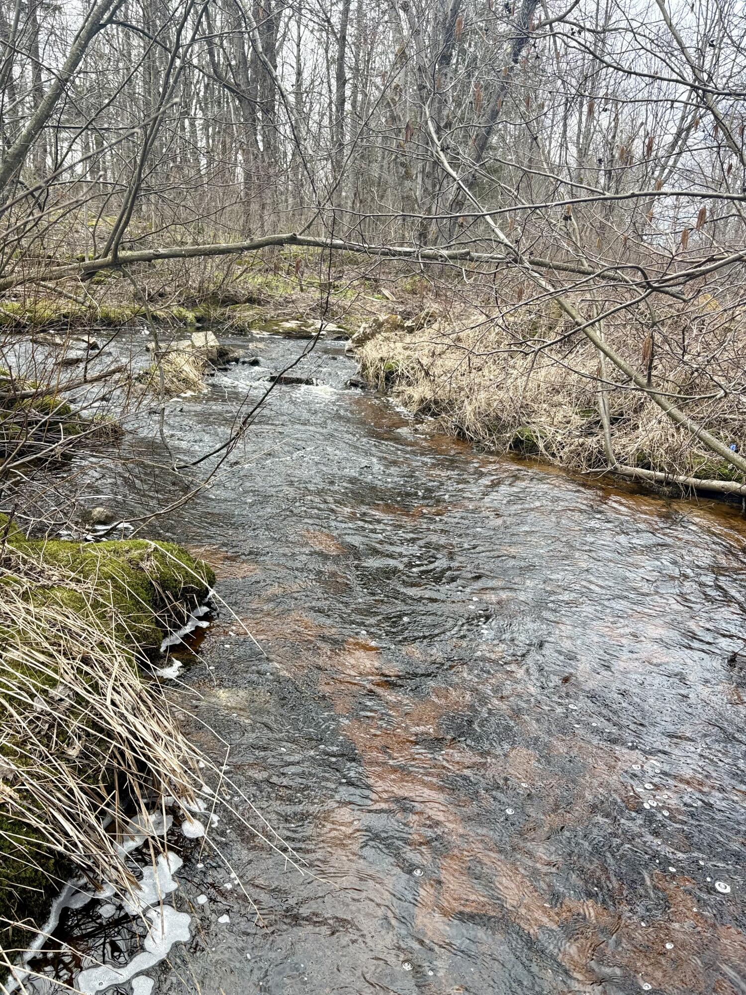 232 Soucia Road, Churubusco, New York image 37