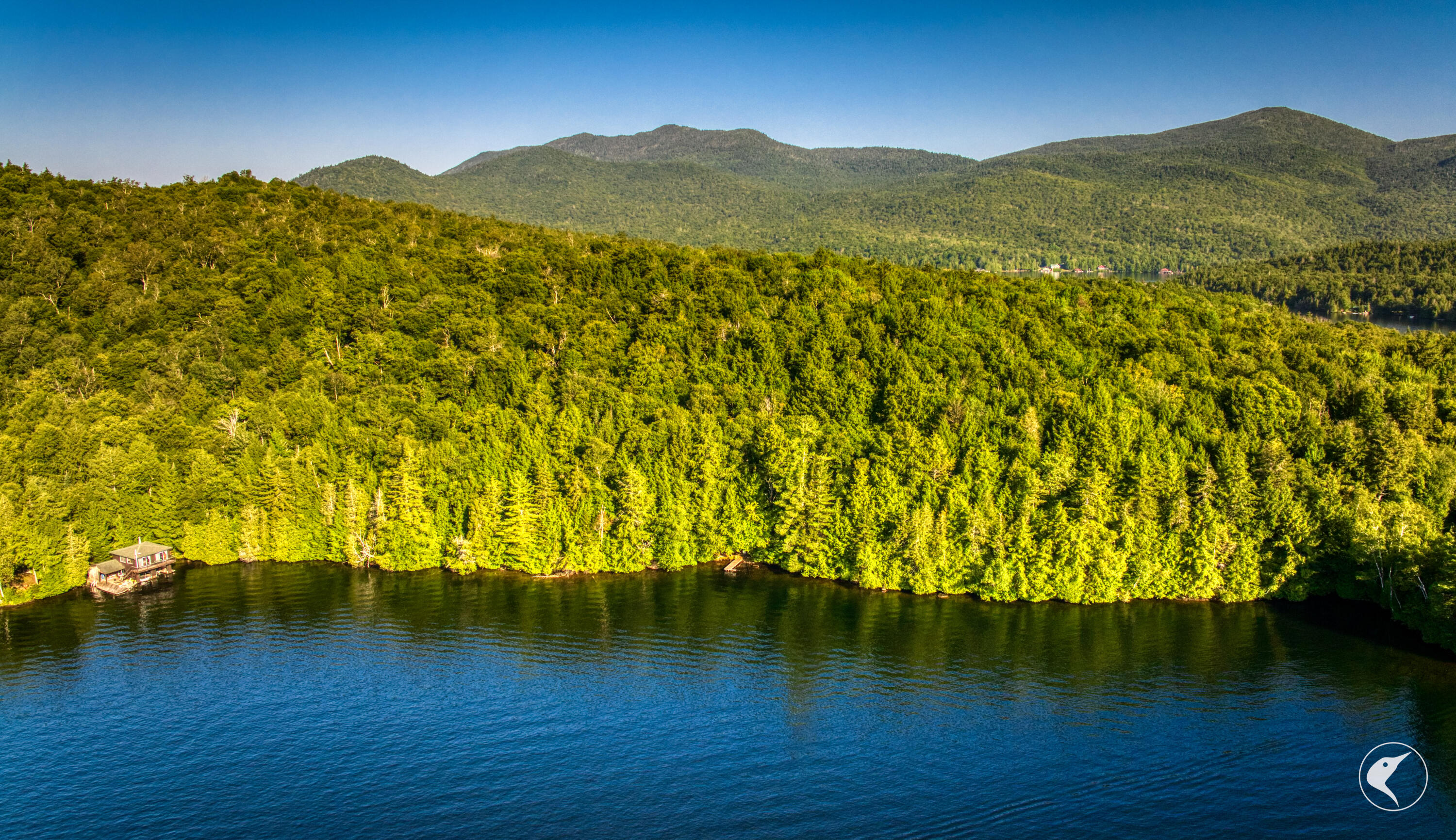 Pier 51 12 George & Bliss Lane