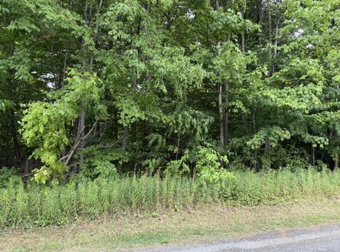 Vacant Land For Sale - 48 Pinewood Drive<br/> Clinton County, Altona, NY 12910