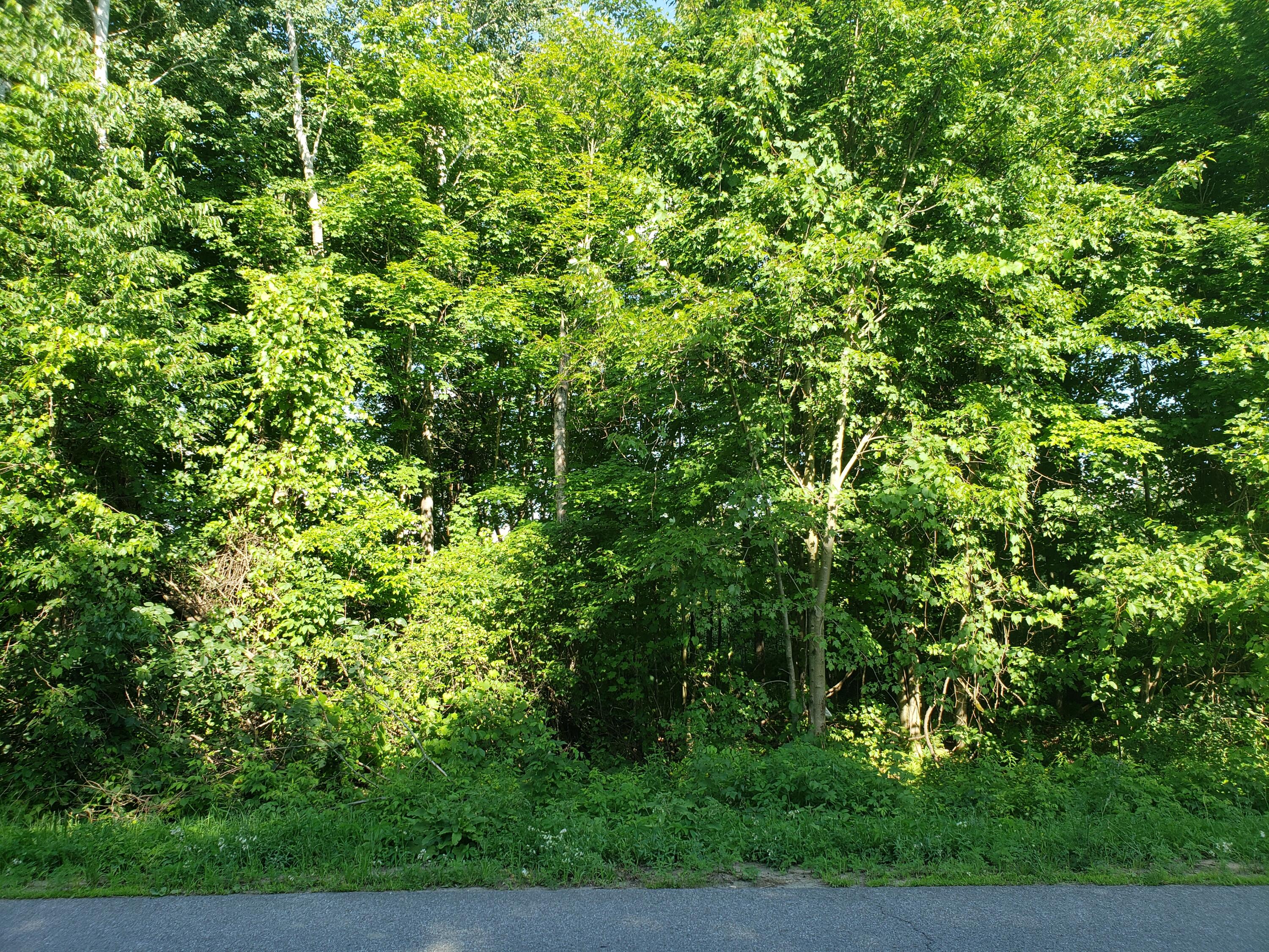 Wagner Road, North Bangor, New York image 6