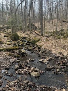 192 Wiley Road Rd, North Bangor, New York image 3