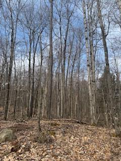 192 Wiley Road Rd, North Bangor, New York image 7
