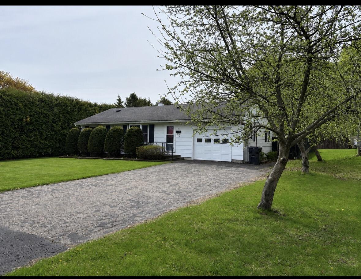 11 Holland Avenue