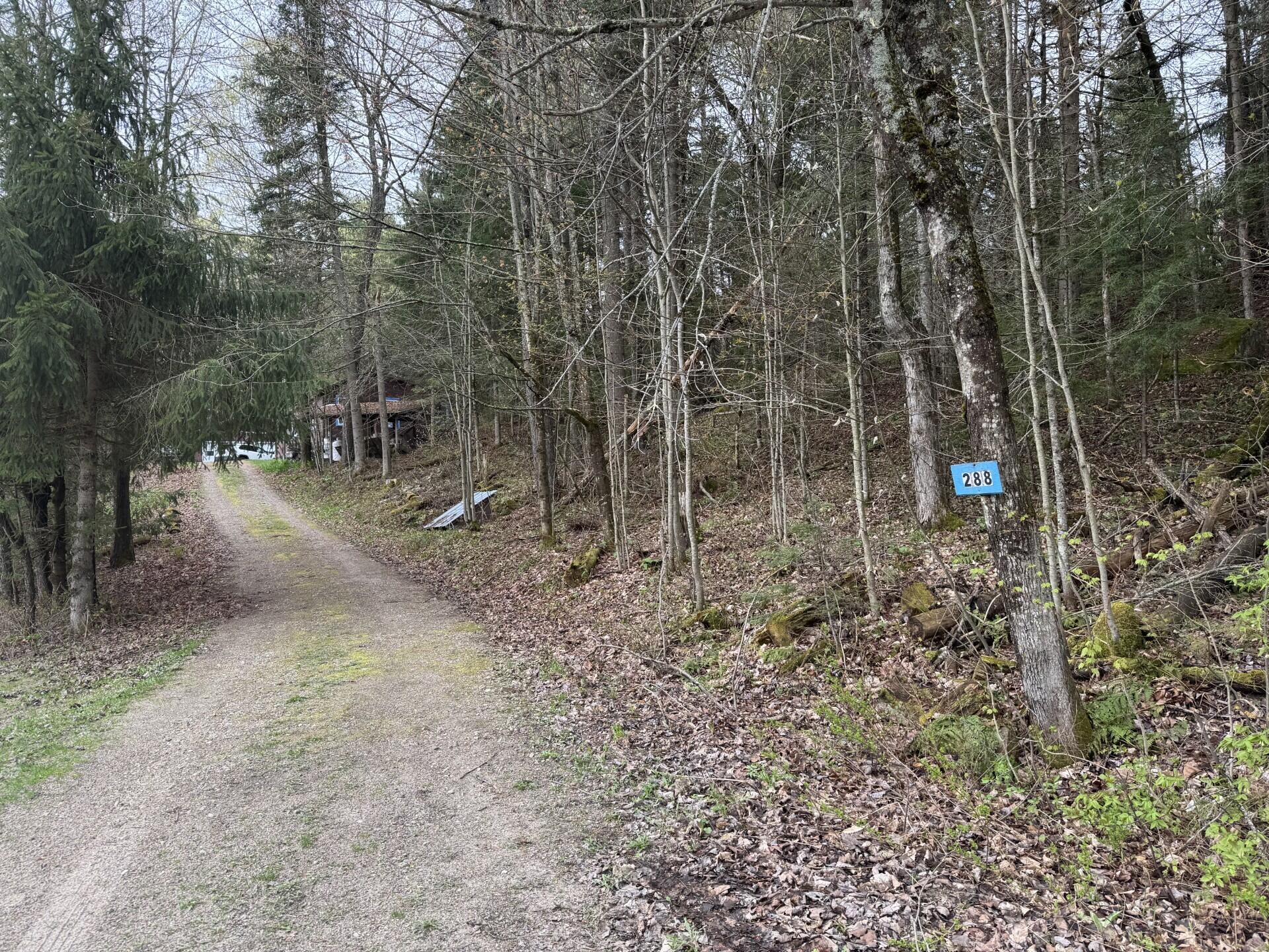 288 Wolf Pond Road Road, Owls Head, New York image 13