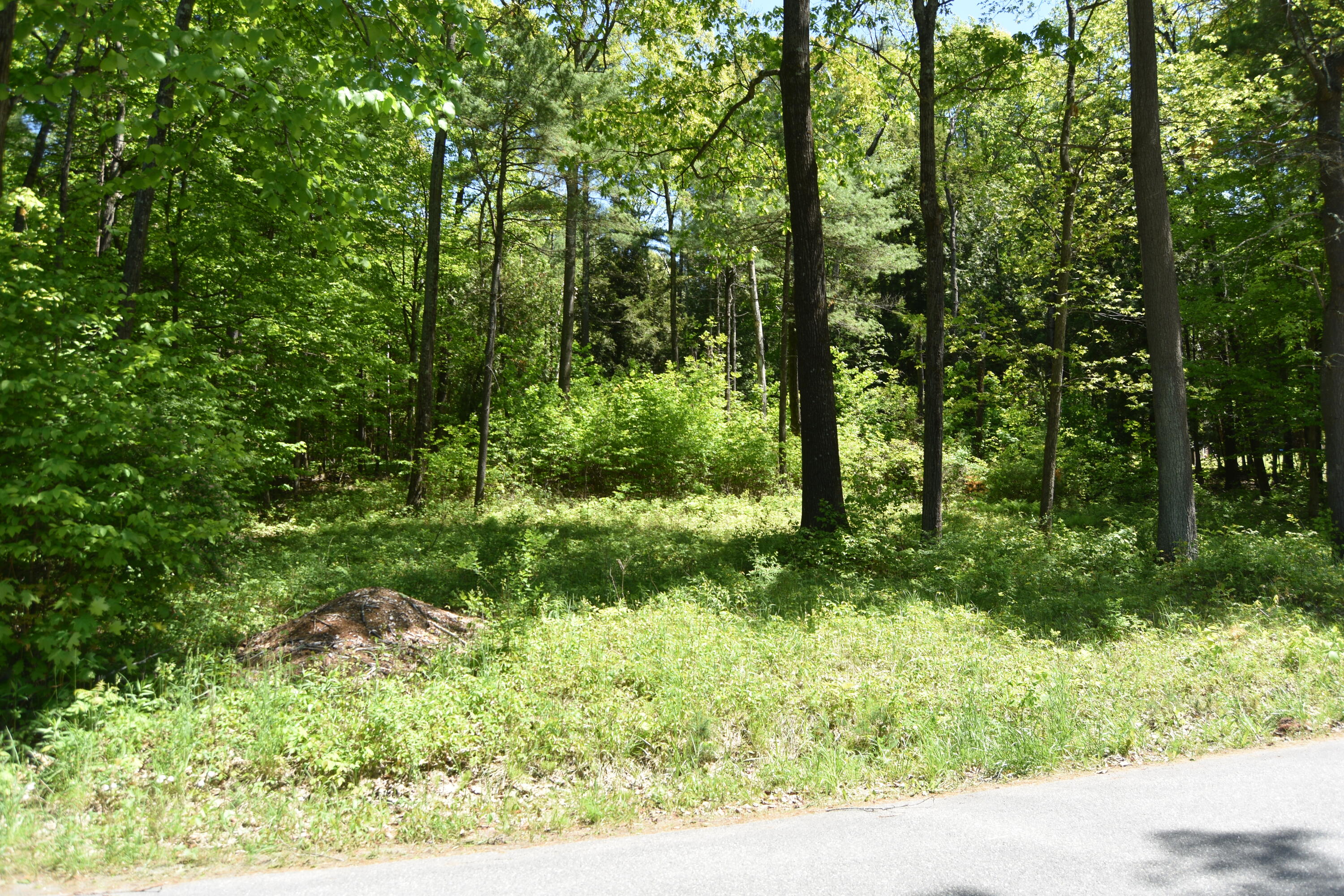 140 Cedar Lane, Willsboro, New York image 33