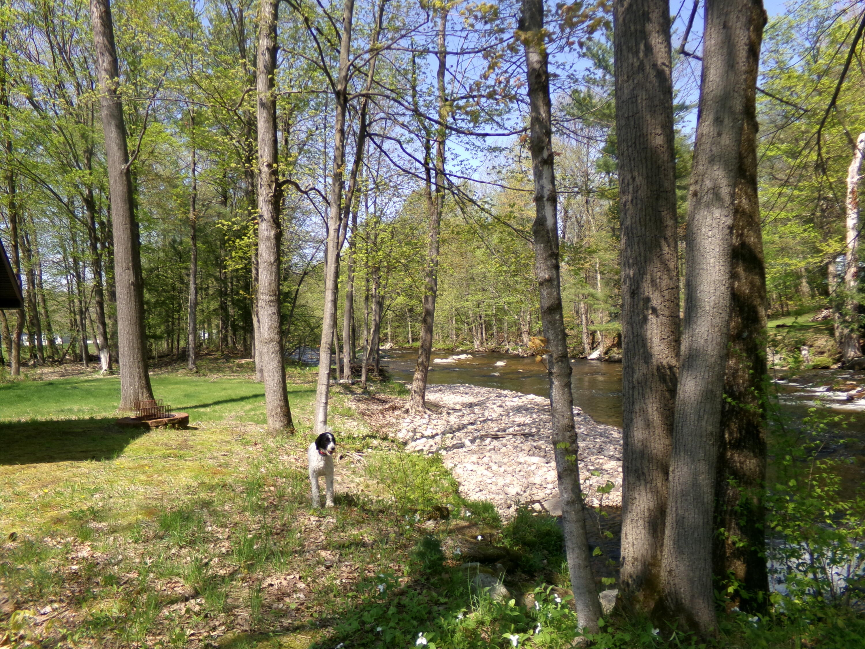55 Riverside Dr. Drive, Constable, New York image 6
