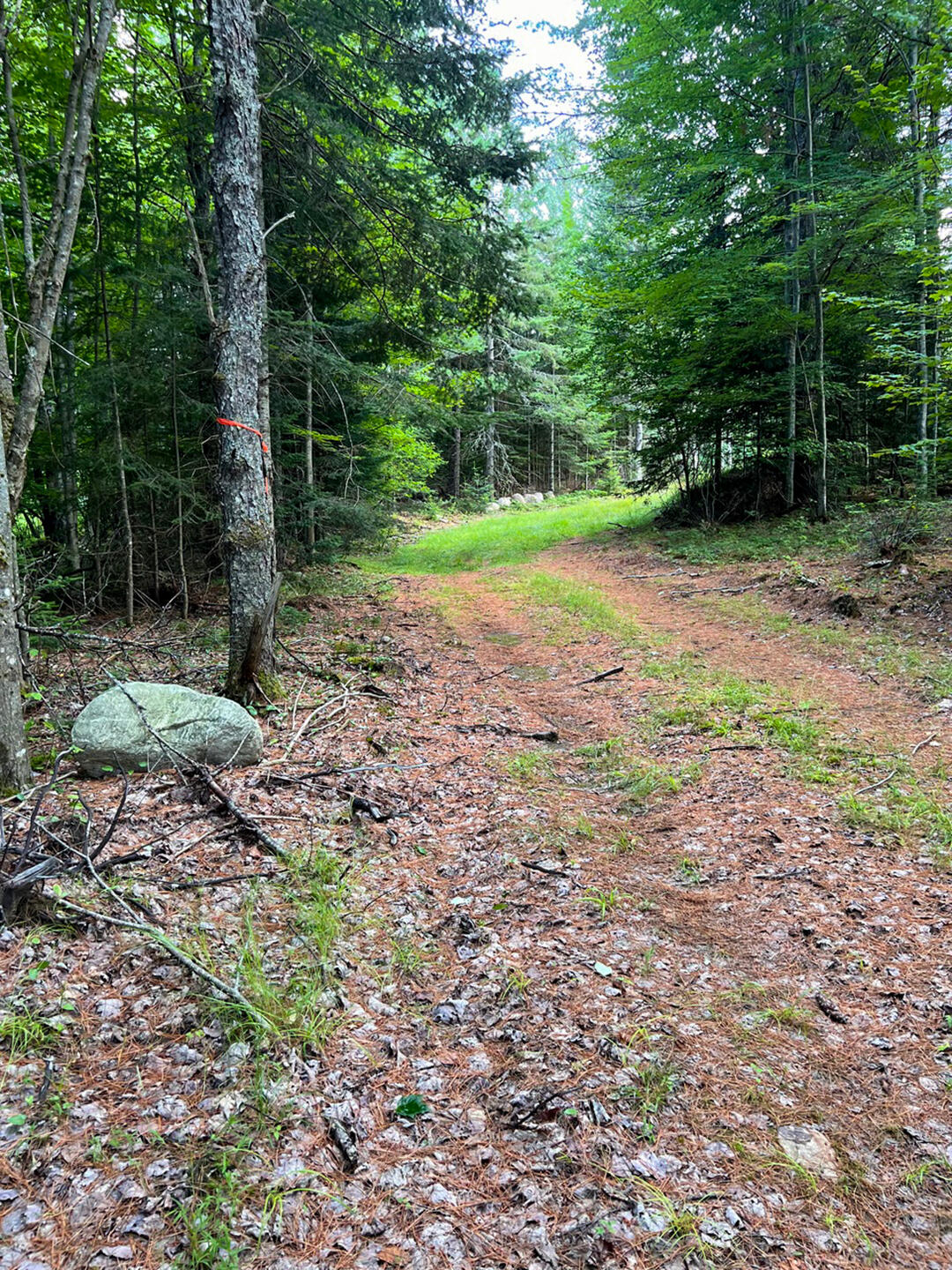 Vermontville, New York 12989, United States, ,Land,Active,164999