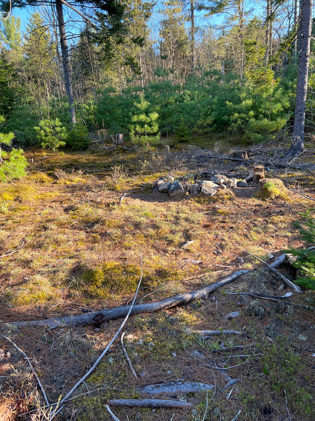 Vermontville, New York 12989, United States, ,Land,Active,164999