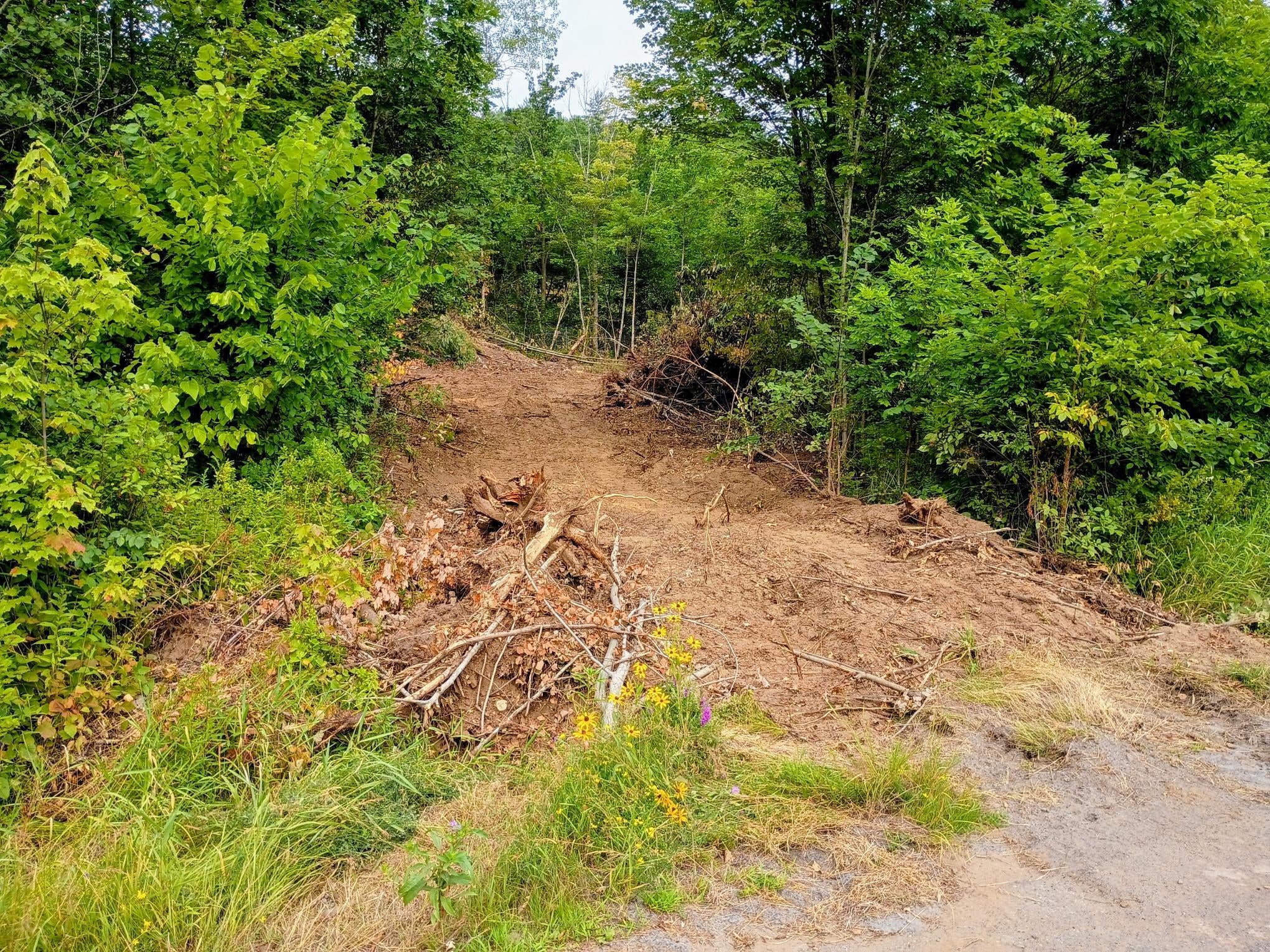 197 Moss Road