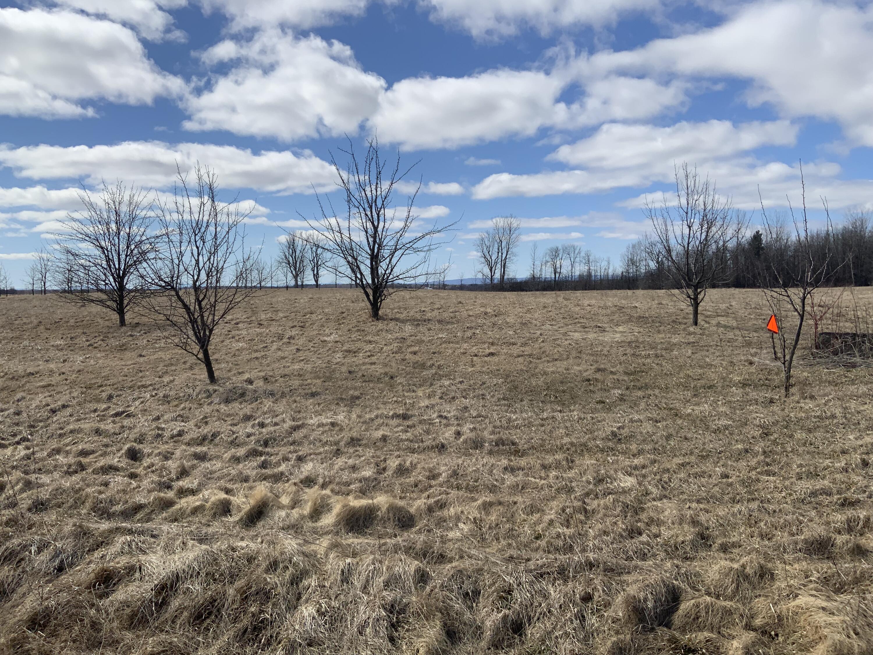 Lot 2 Leggett Road, Champlain, New York image 3
