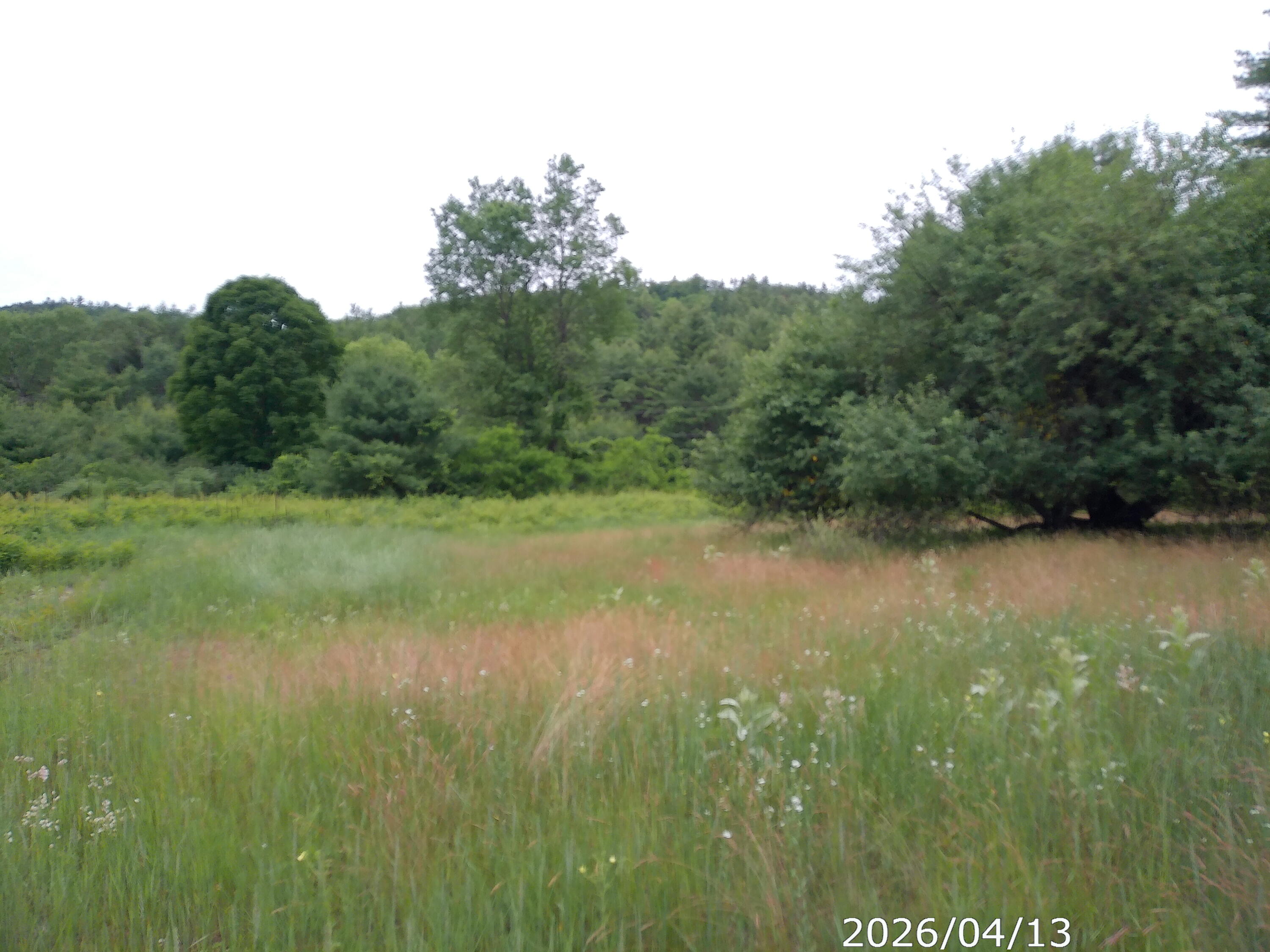 122 Fox Run Road