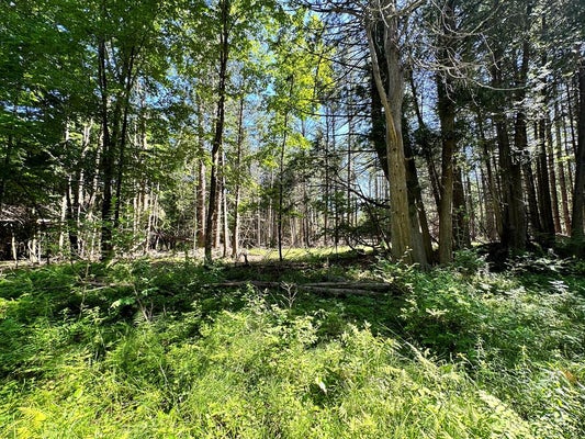 0 MELLOW WAY (LOT #5), WILMINGTON, NY 12997 - Image 8dcafe7c0aab6e5296b073352d042fe1/1438305455